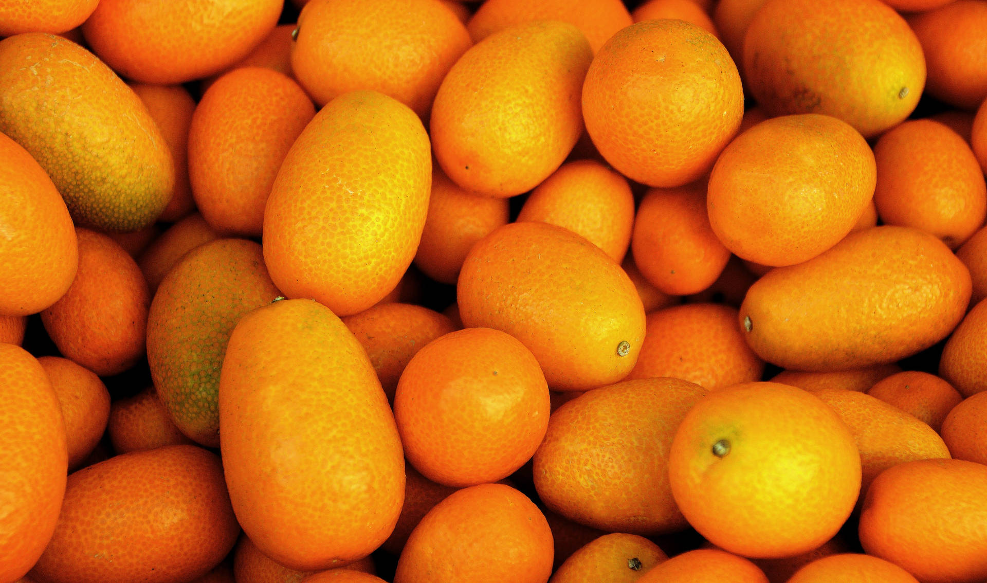 Bright Kumquat Fruits Close Up Still Shot