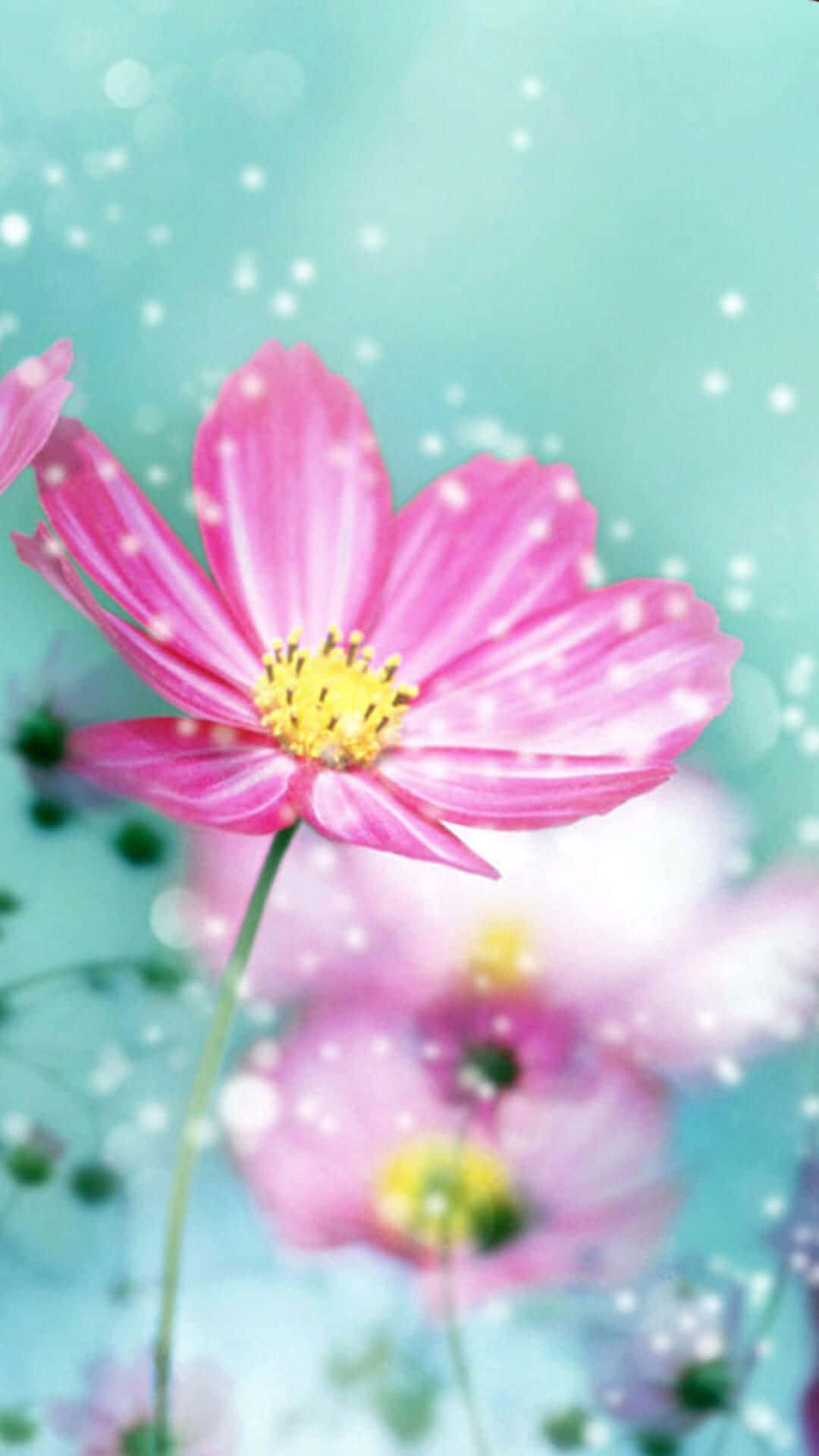 Bright Light Pink Spring Daisy Iphone Background