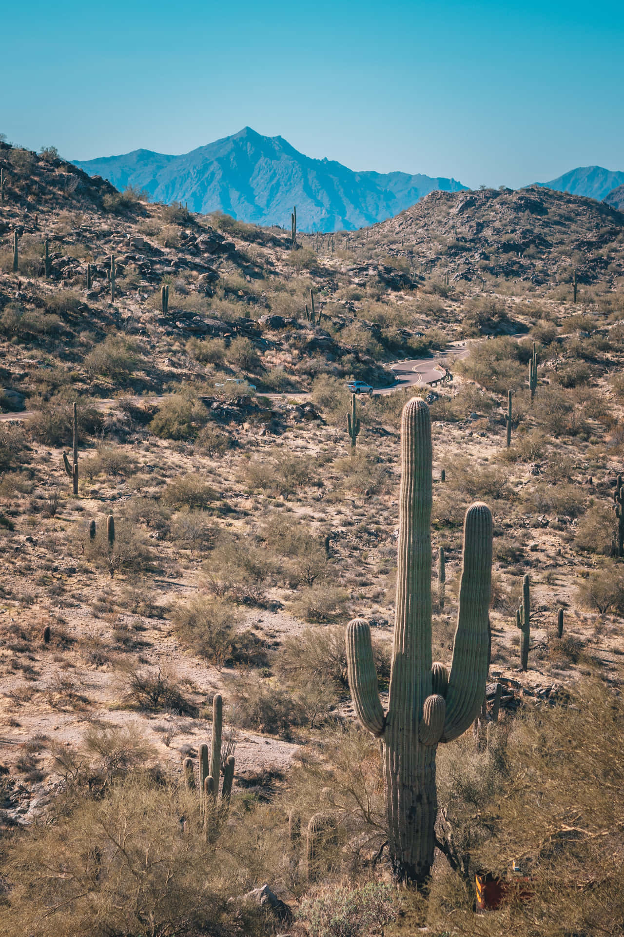 Bright Lights, Big City - Phoenix Arizona Background