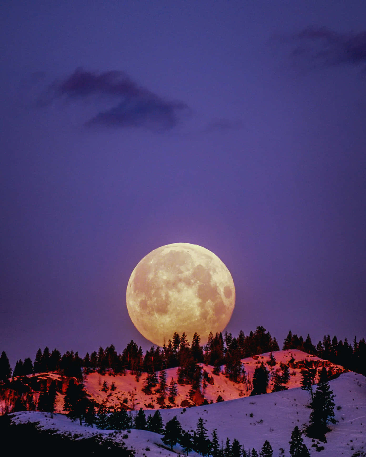 Bright Moonlight Illuminates The Night Sky Background
