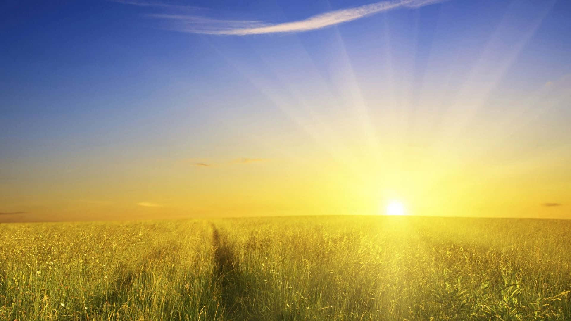 Bright Morning Sunrise Background