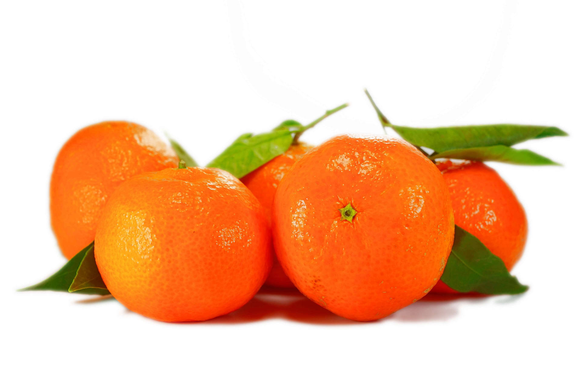 Bright Orange Clementine Citrus Fruits