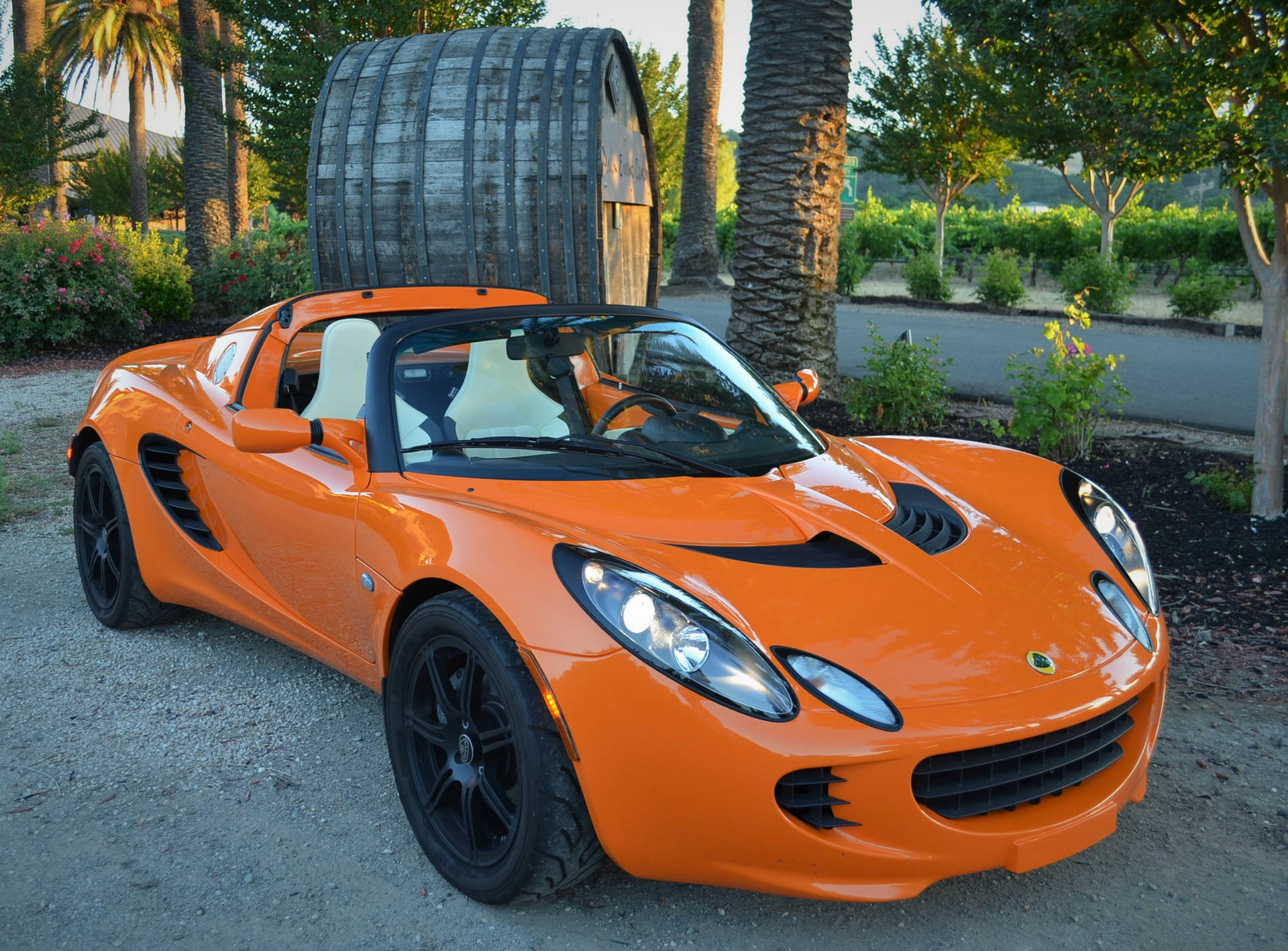 Bright Orange Lotus Convertible Against A Scenic View Background