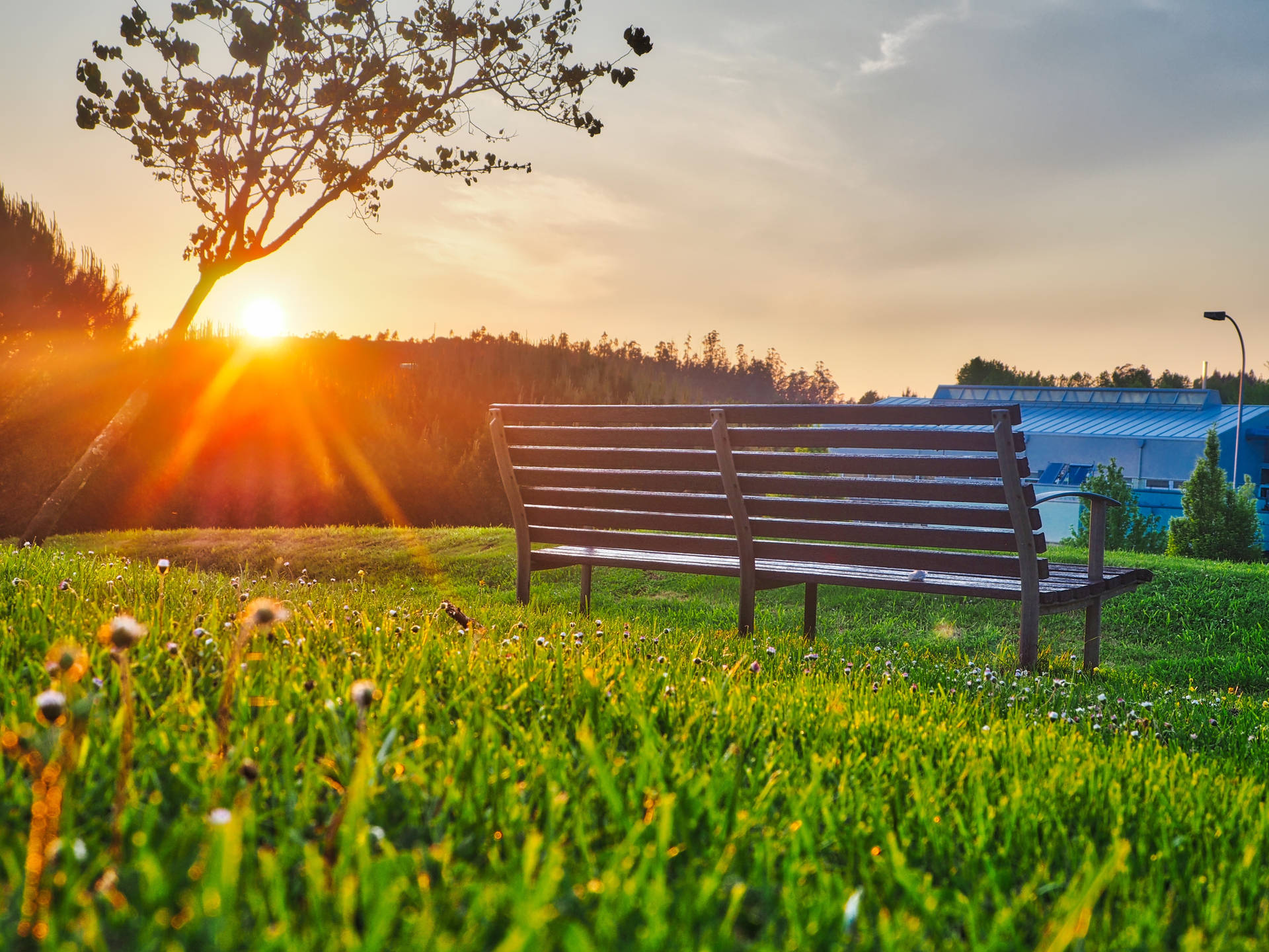 Bright Park Bench Background