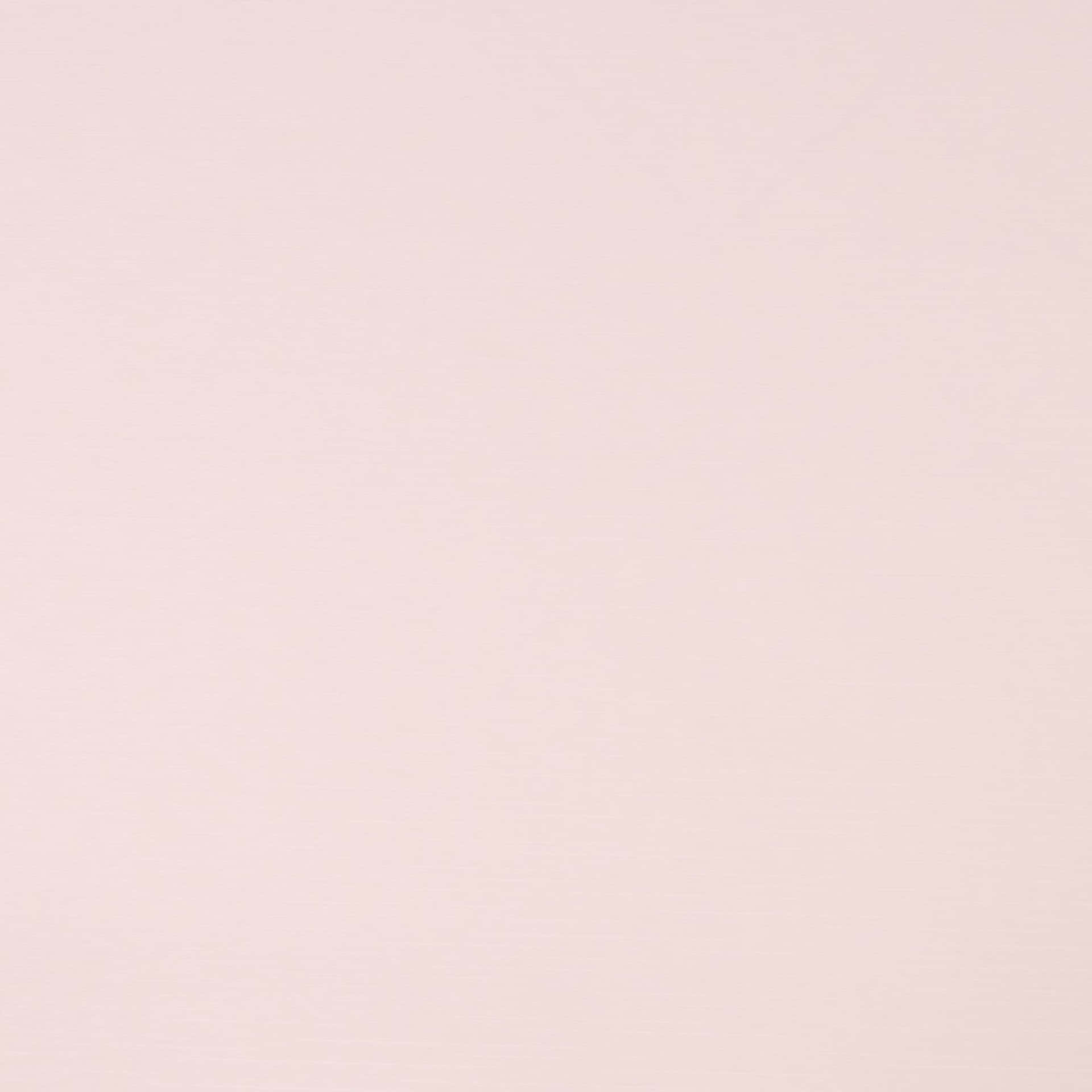 Bright Pink And Rose Petals With Bokeh Background.