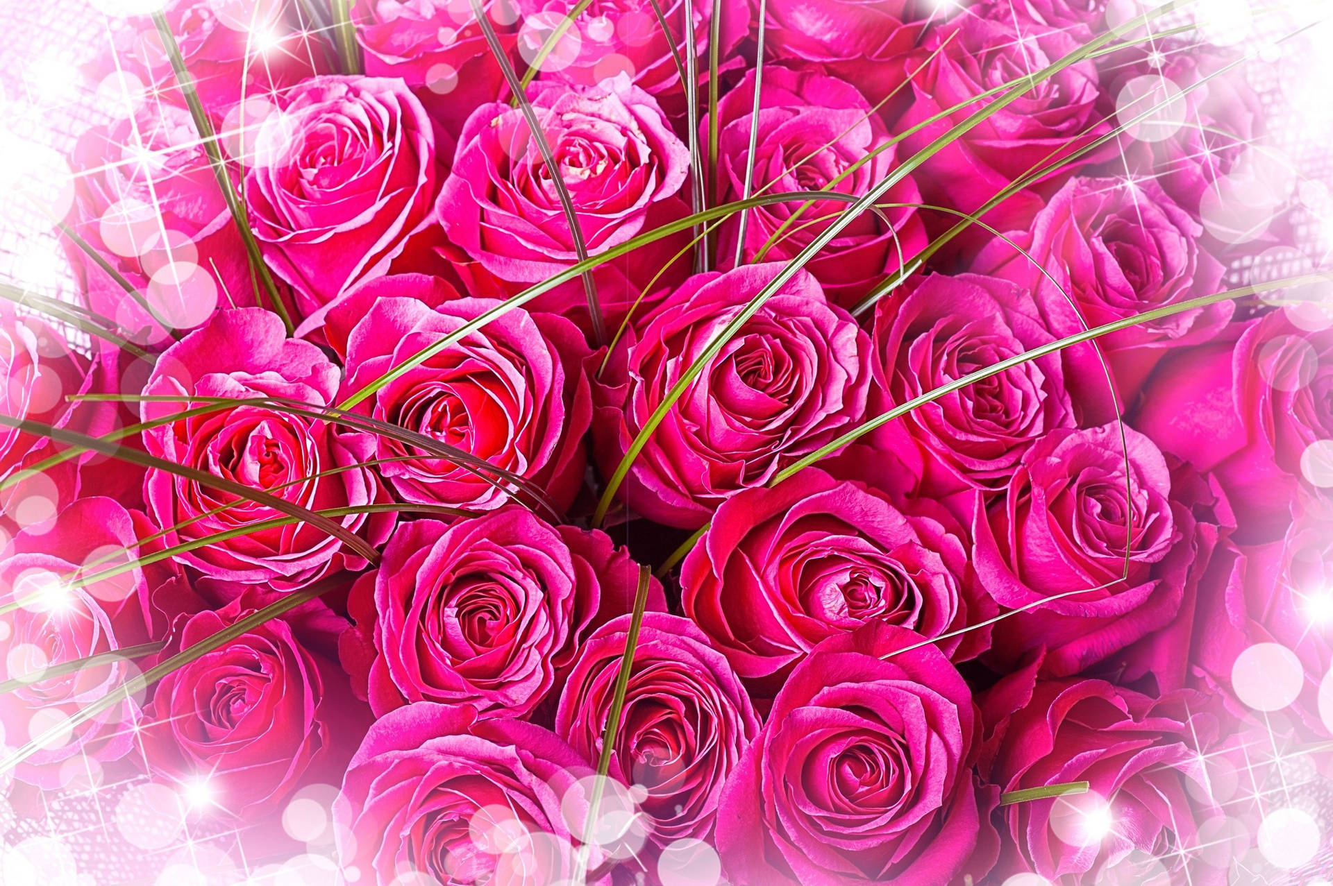 Bright Pink Roses Bouquet Background