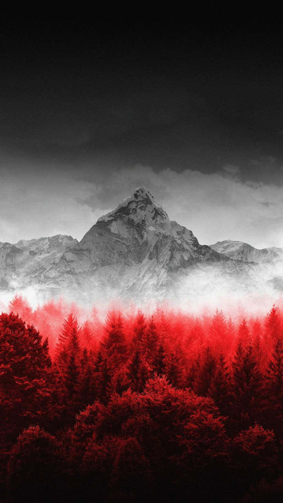 Bright Red Forest, A Breathtaking View Background
