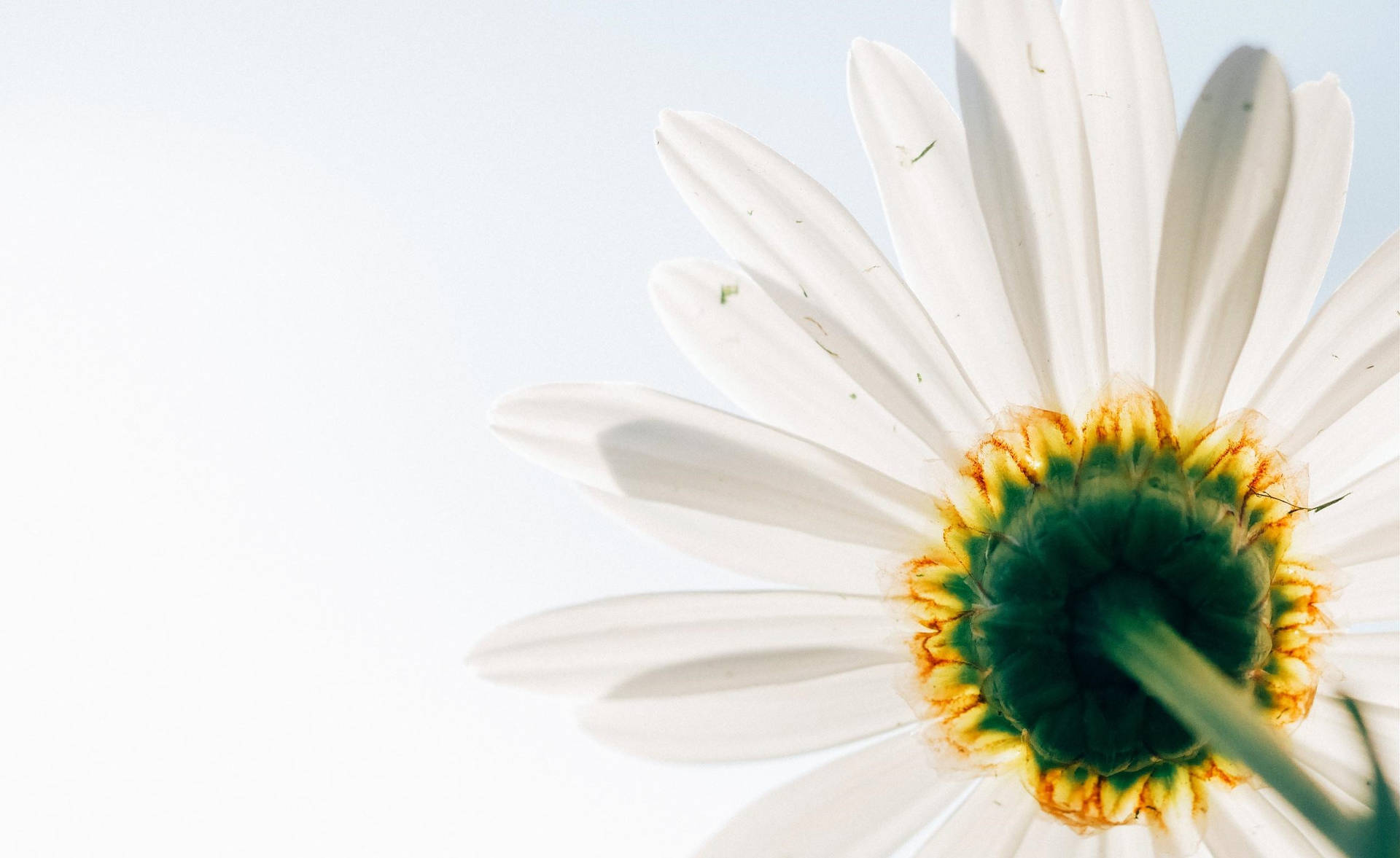 Bright Shining Sun In A White Cloud-filled Sky Background