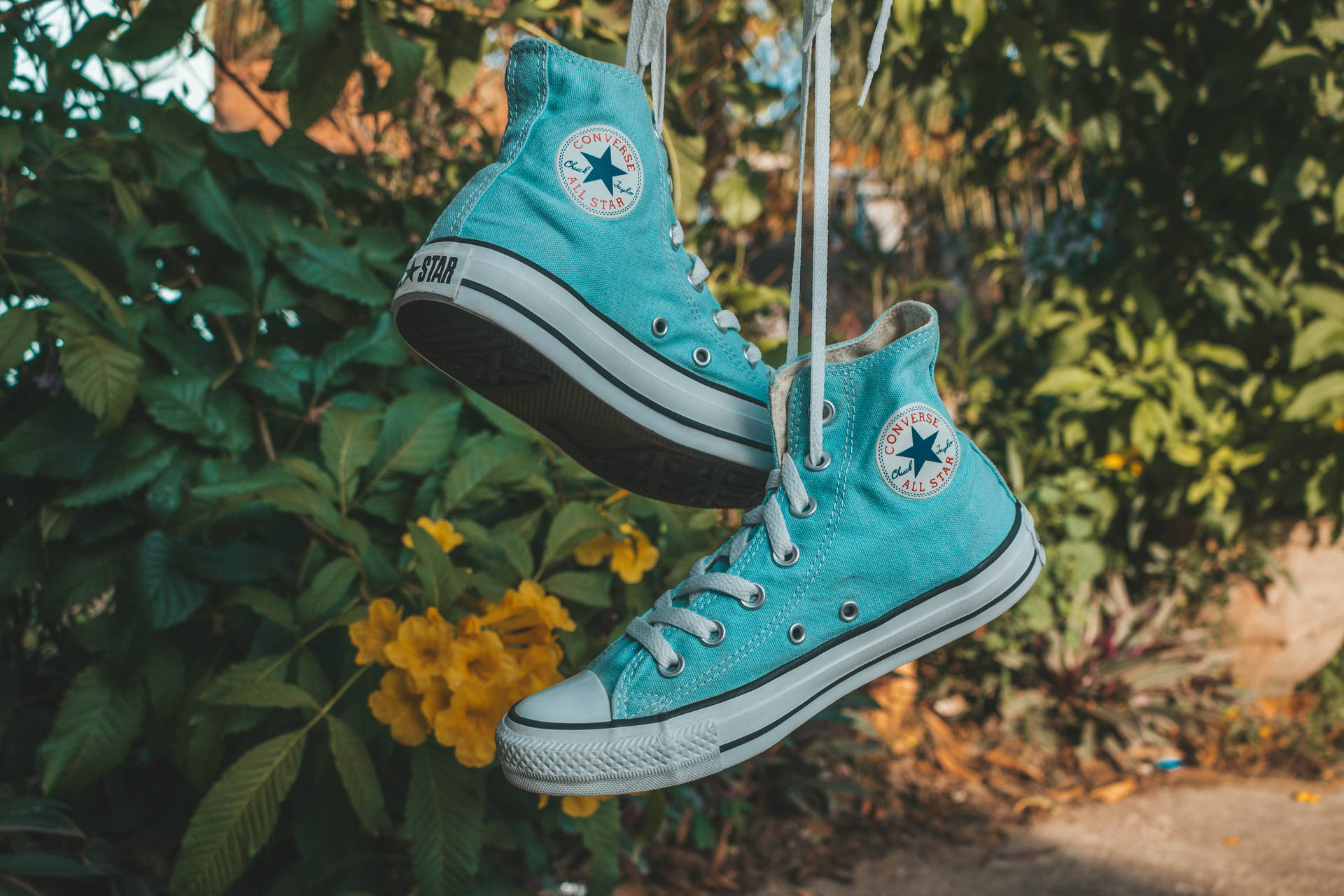Bright Teal Converse Background