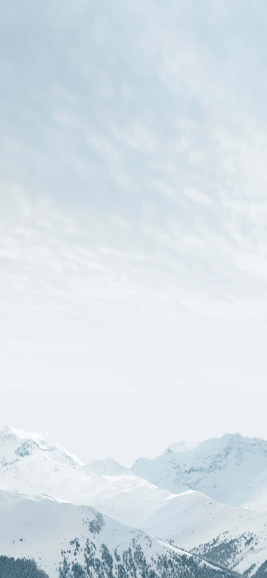 Bright White Apple Iphone 11 Background
