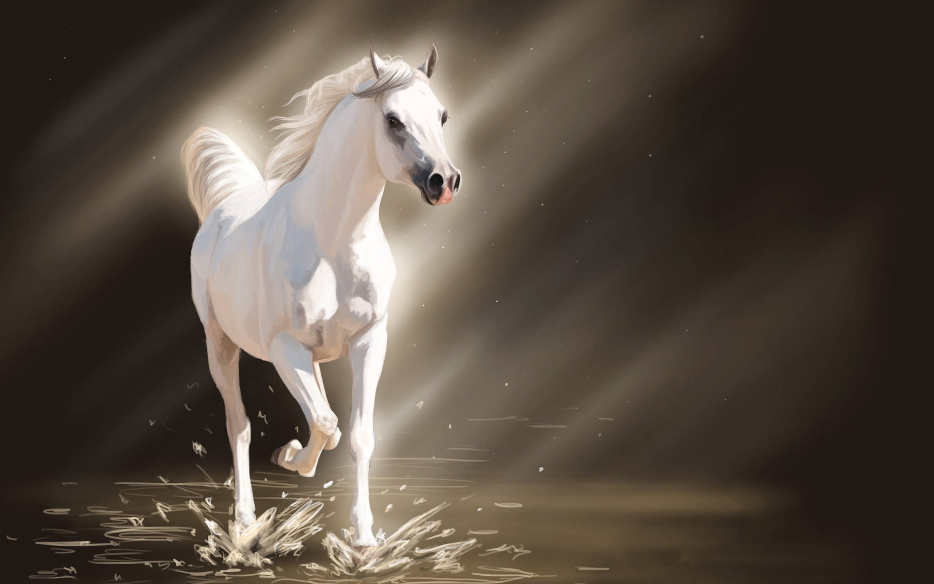 Bright White Running Horse Background