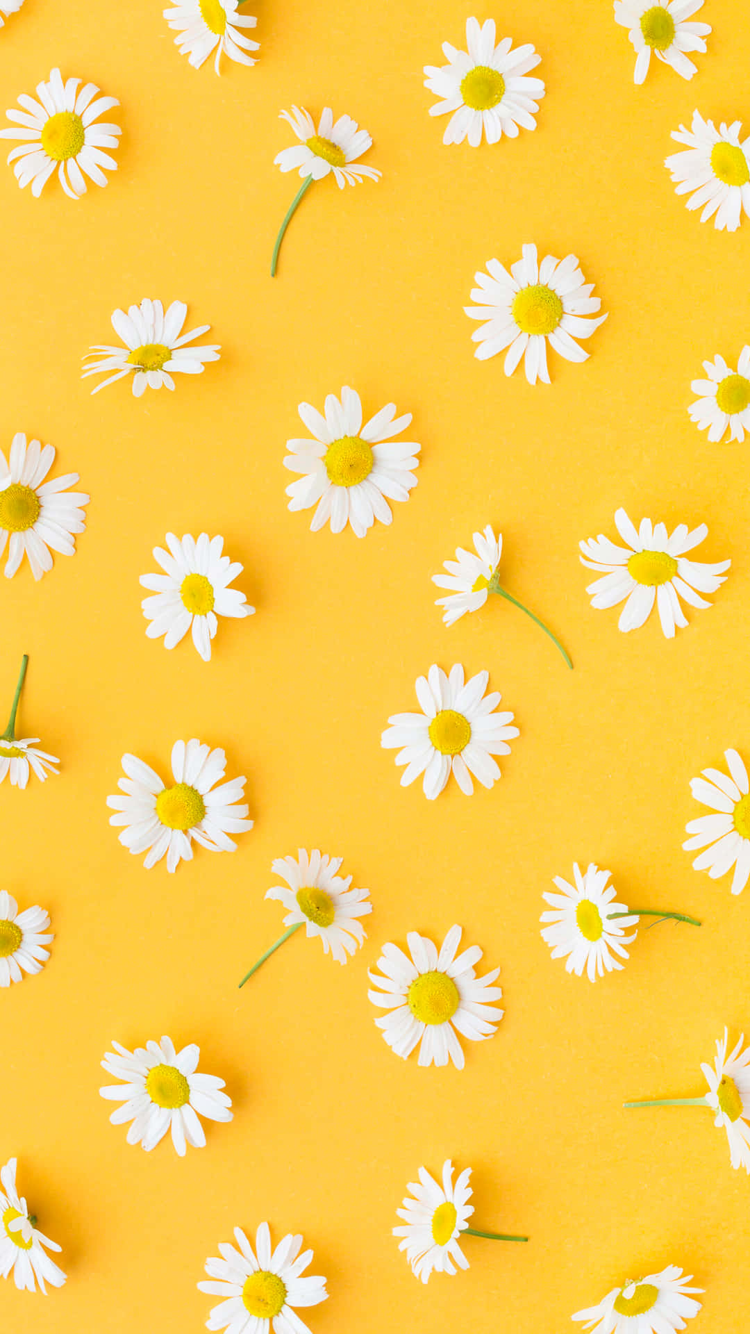 Brighten Up Any Room With This Vibrant Yellow Aesthetic Background