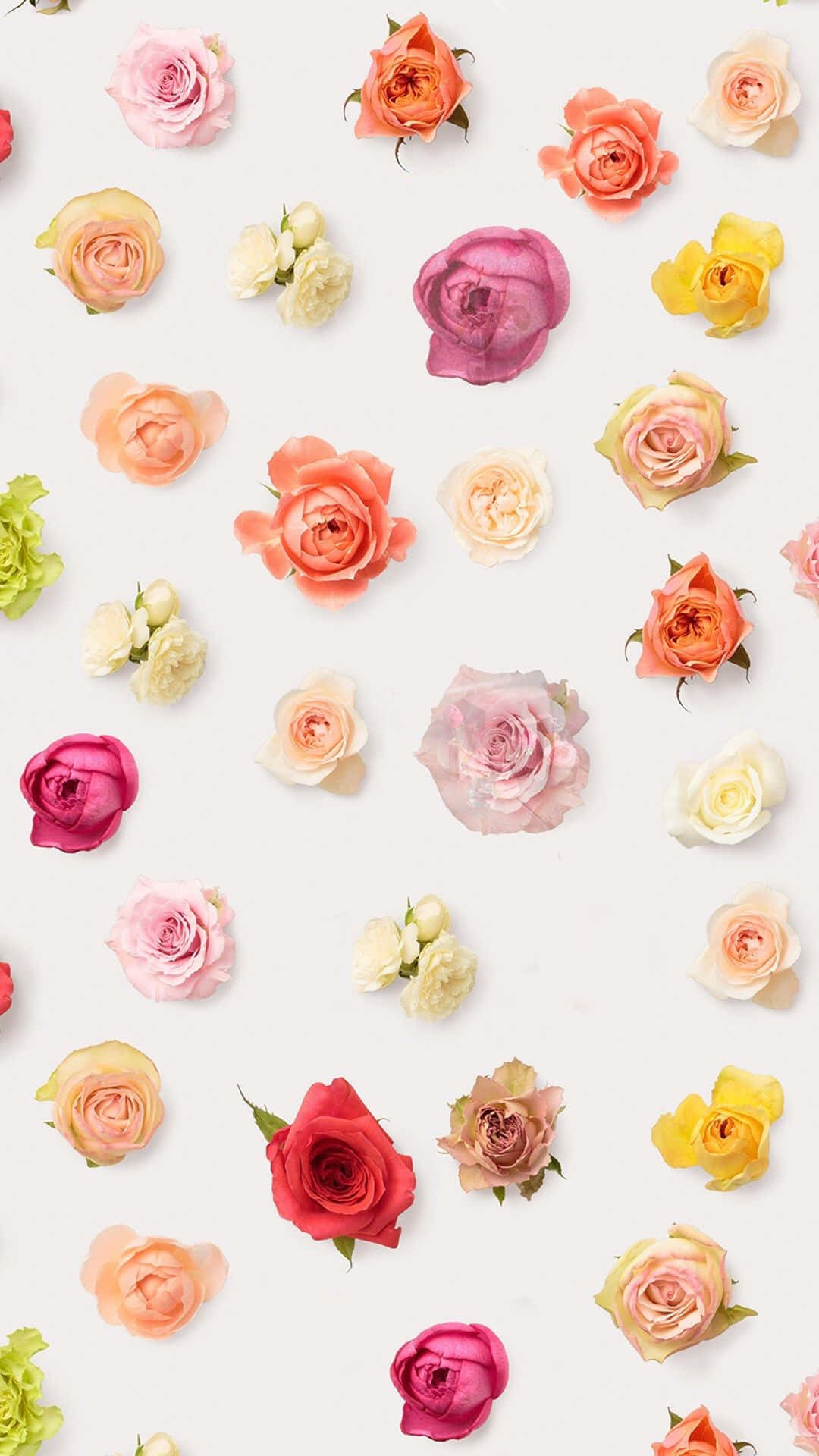 Brighten Up Your Day With A Colorful Flowers Iphone Background