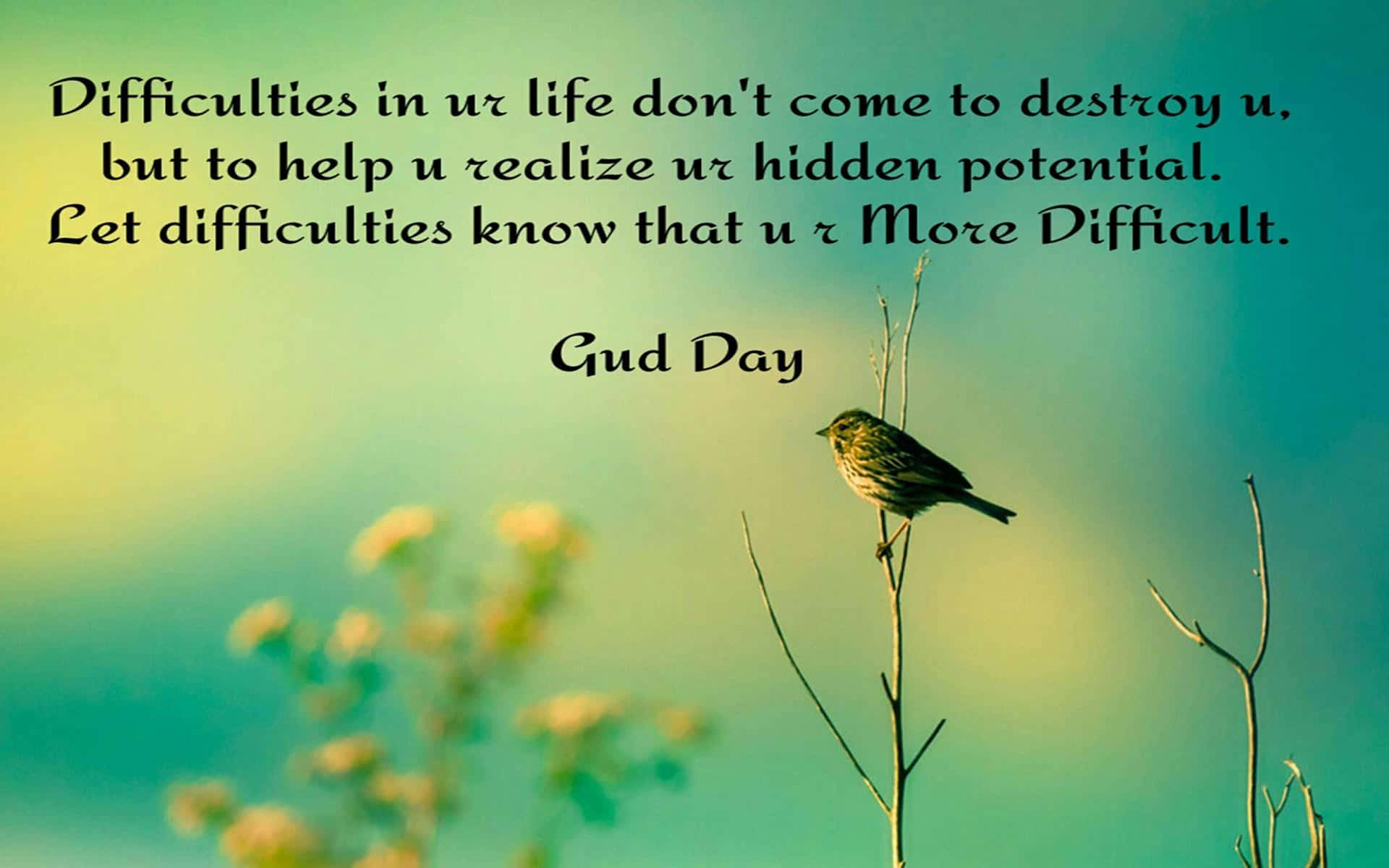 Brighten Up Your Day With A Positive Message