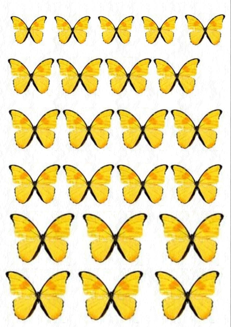 Brighten Up Your Day With Cute Yellow Butterflies Background