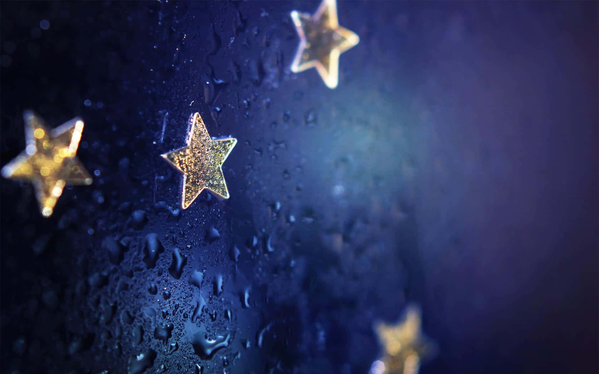 Brighten Up Your Day With These Beautiful Stars! Background