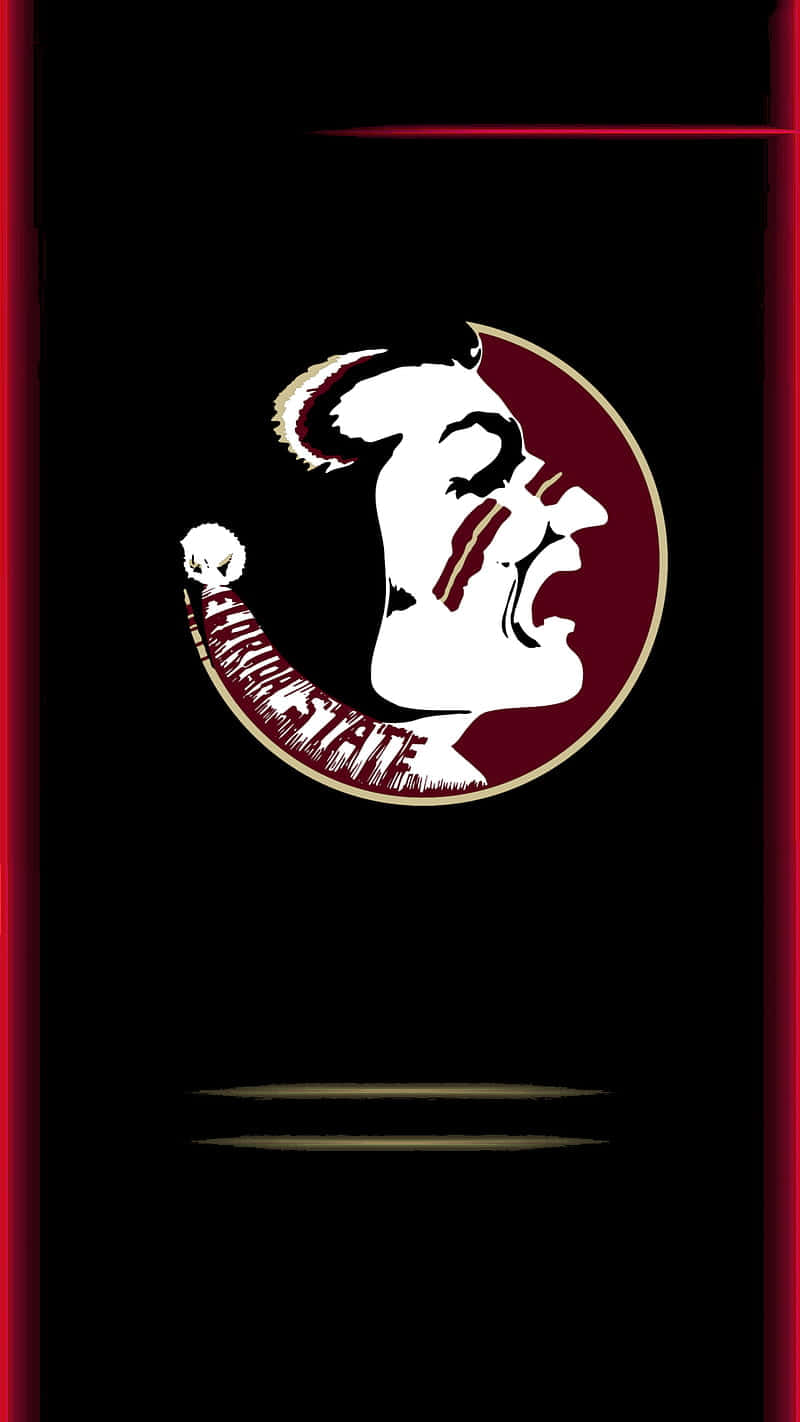 Brighten Up Your Day With These Florida State University Colors Background