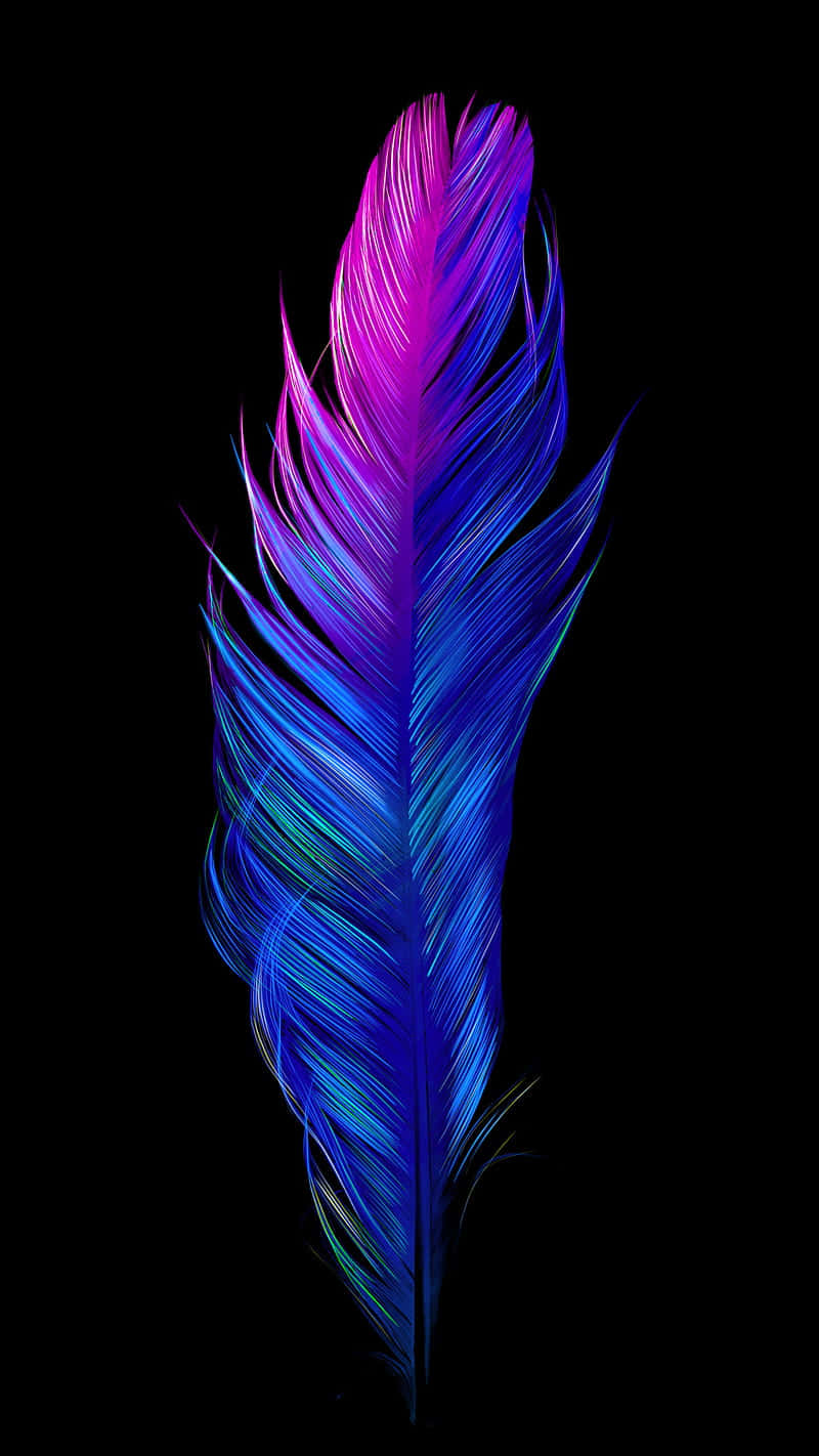 Brighten Up Your Day With This Colorful Oled Wallpaper Background