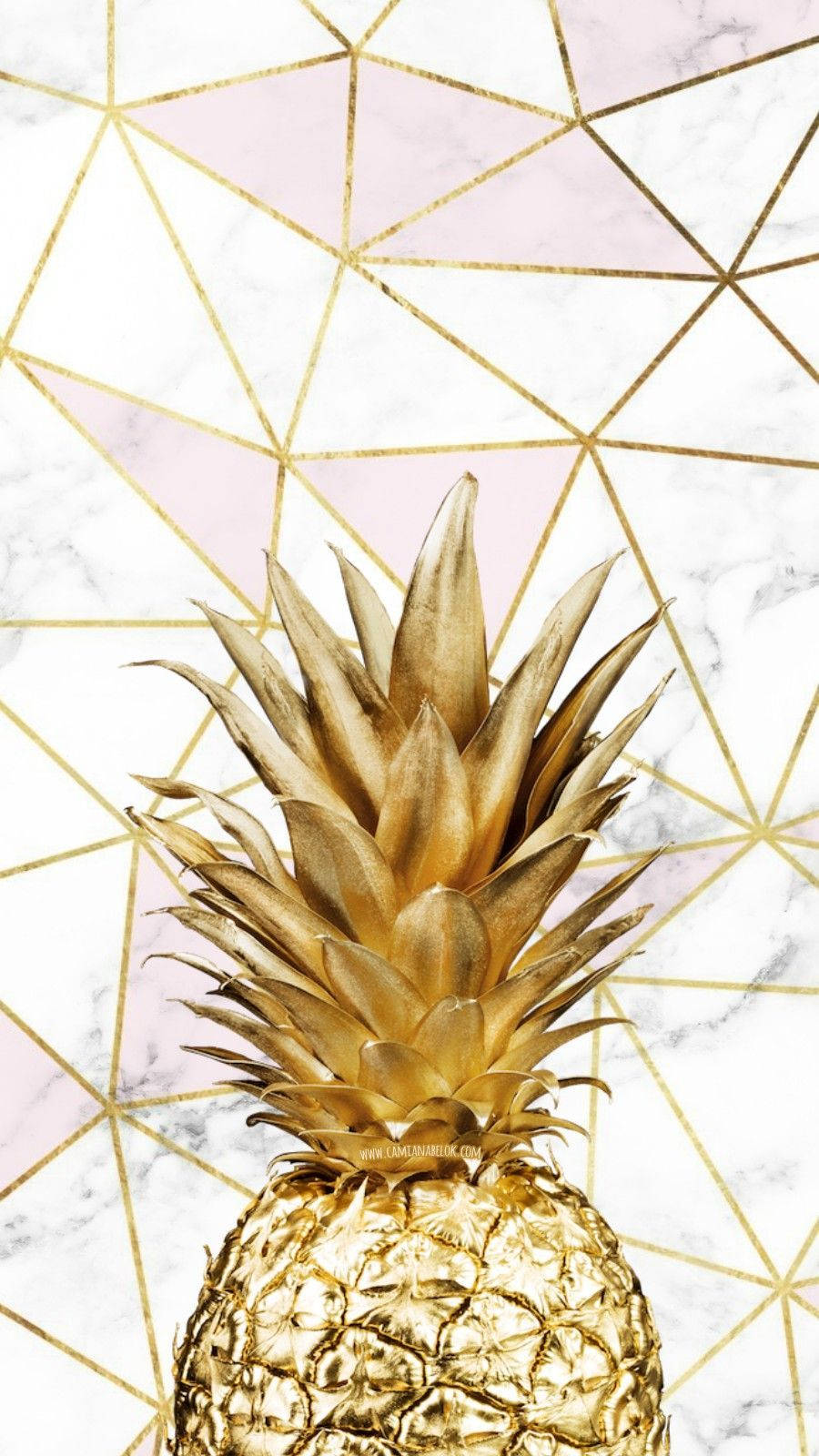 Brighten Up Your Day With This Pineapple-themed Iphone Wallpaper! Background