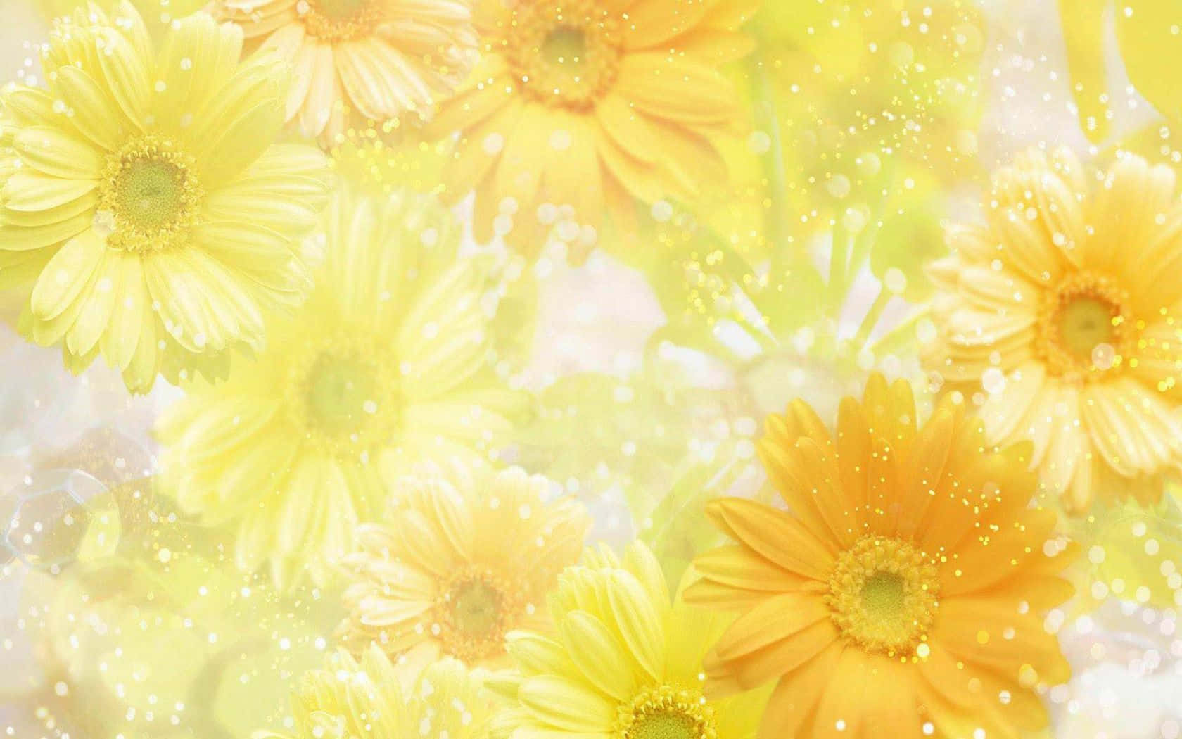 Brighten Up Your Desktop With A Cheery Bed Of Spring Flowers Background