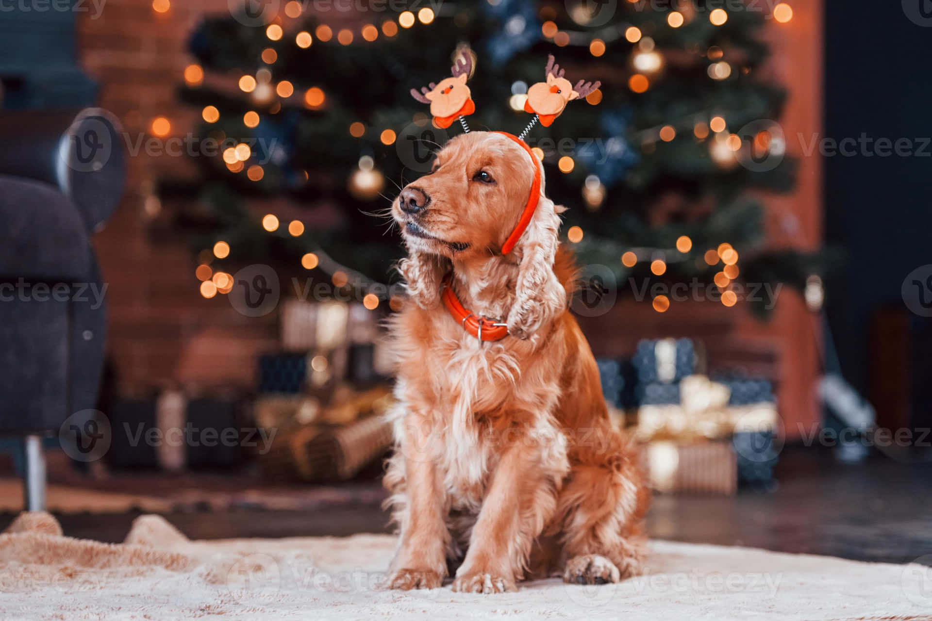 Brighten Up Your Holiday Season With Beautiful Christmas Lights Background