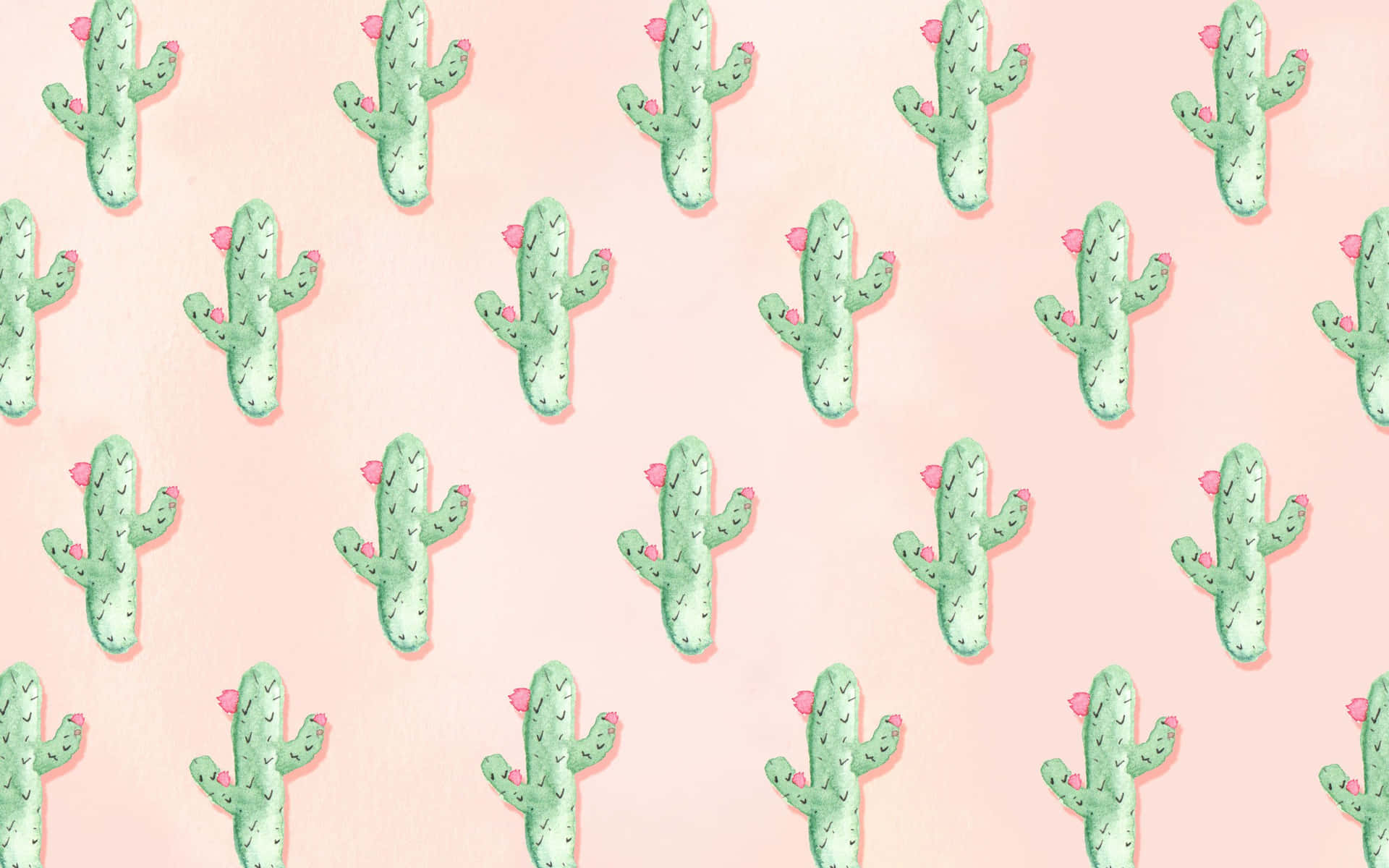 Brighten Up Your Home With A Cute Cactus! Background