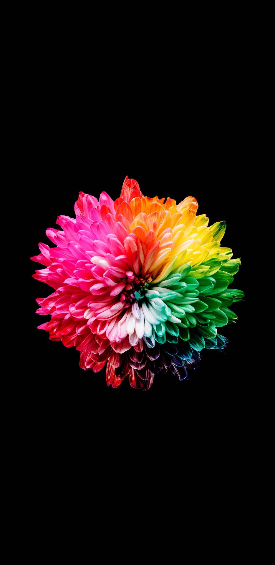 Brighten Up Your Life With Colorful Amoled Background