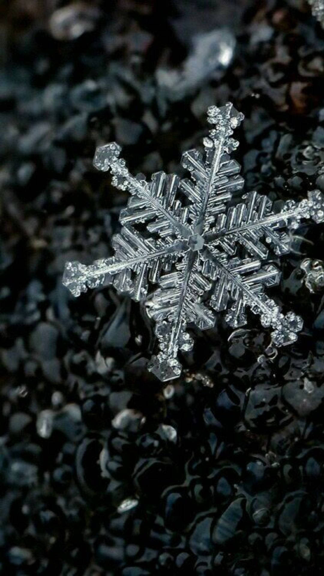 Brighten Up Your Winter With The Snowflake-themed Snowflake Iphone Background