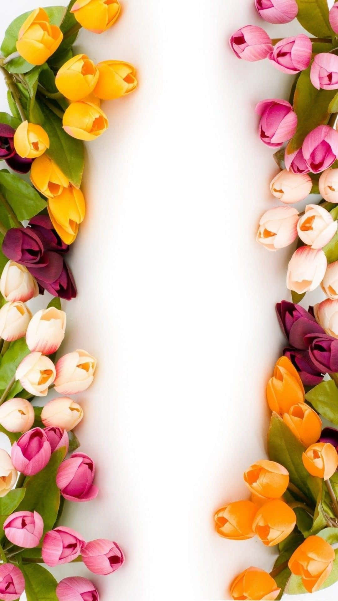 Brighten Your Day With A Beautiful Cute Flower Background