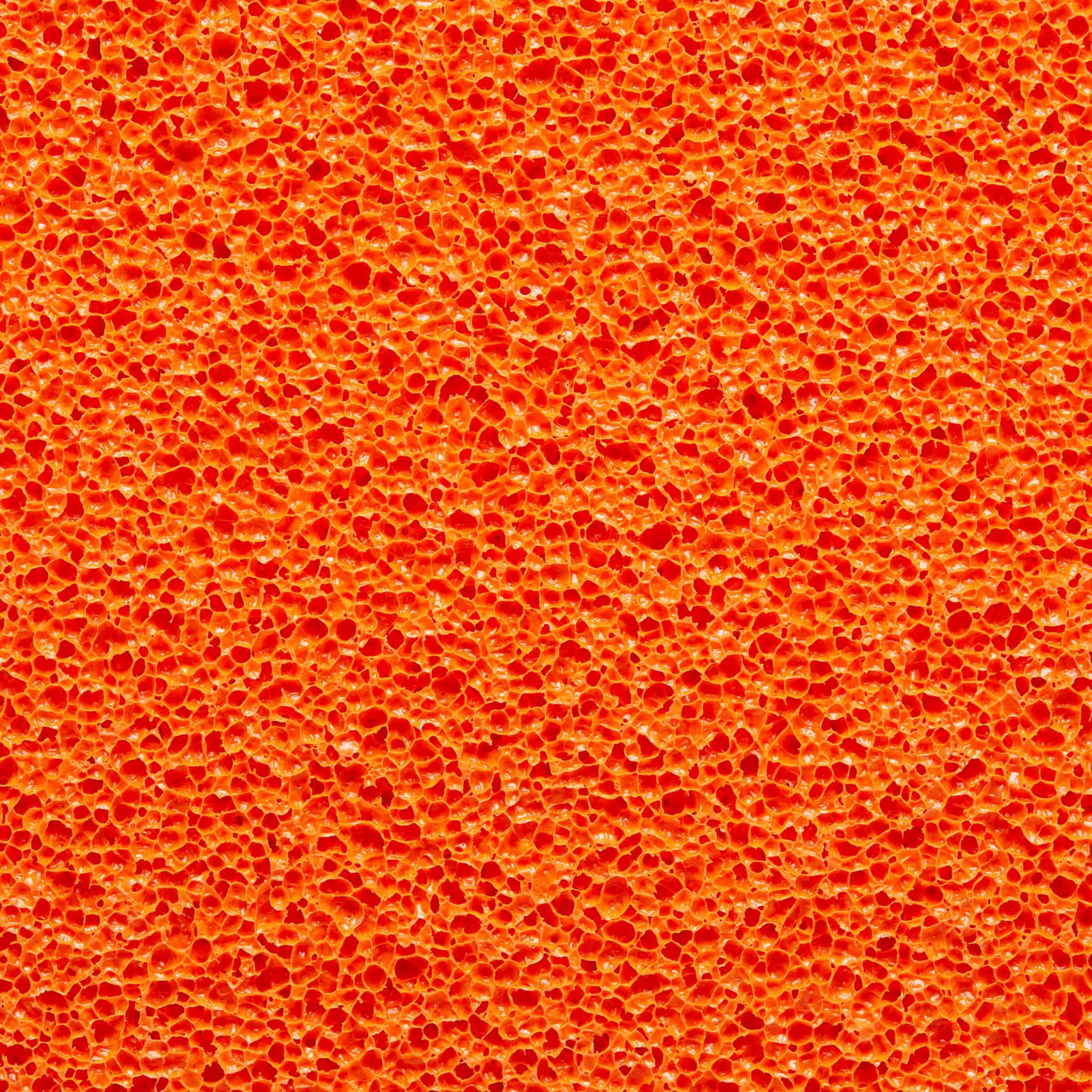 Brighten Your Day With This Vibrant Orange Wall Paper Background