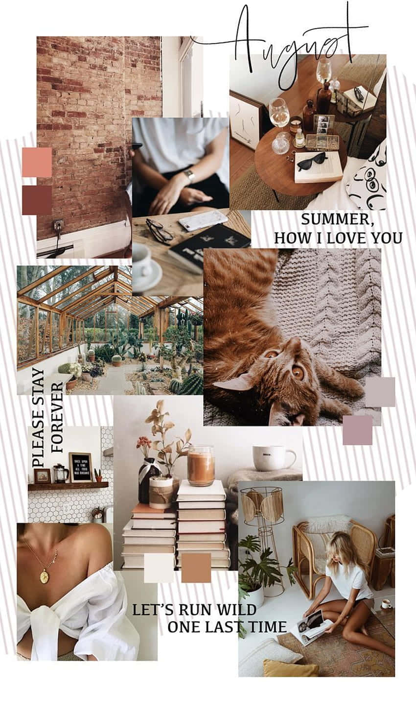 Brighten Your Home With An Aesthetic Moodboard Background