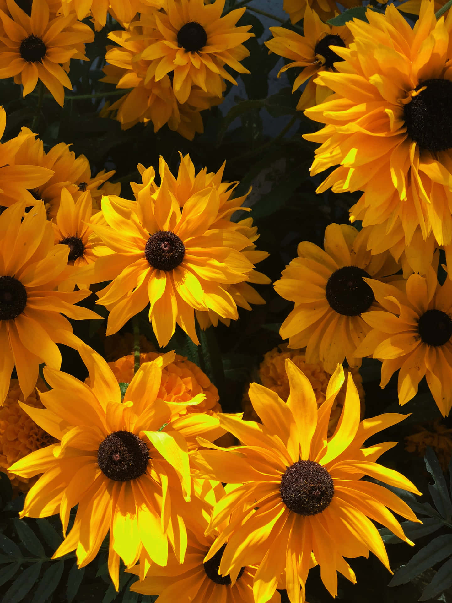 Brightening Up The Day With This Vibrant Yellow Color Background