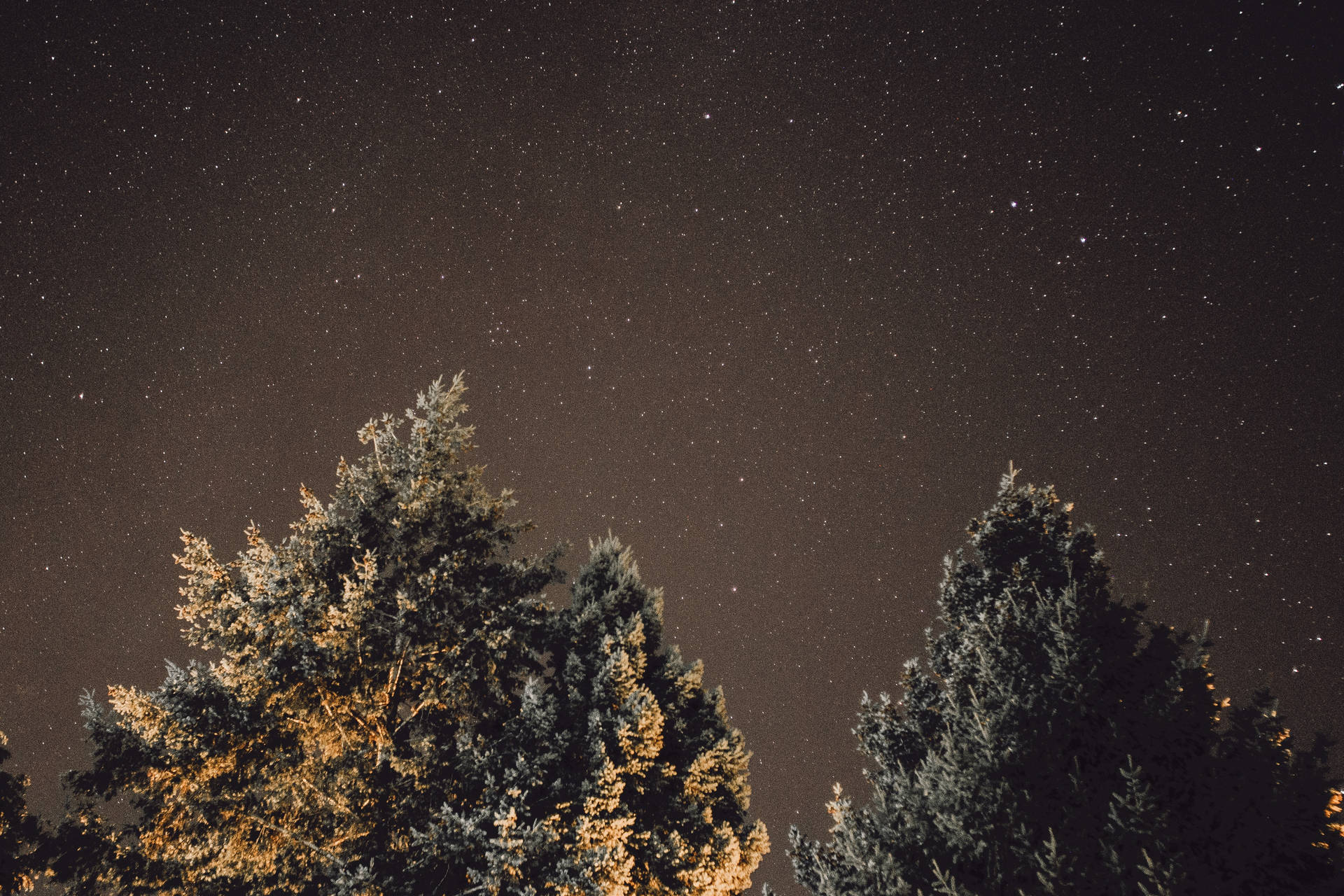 Brightly Lit Trees Under A Starry Night Background