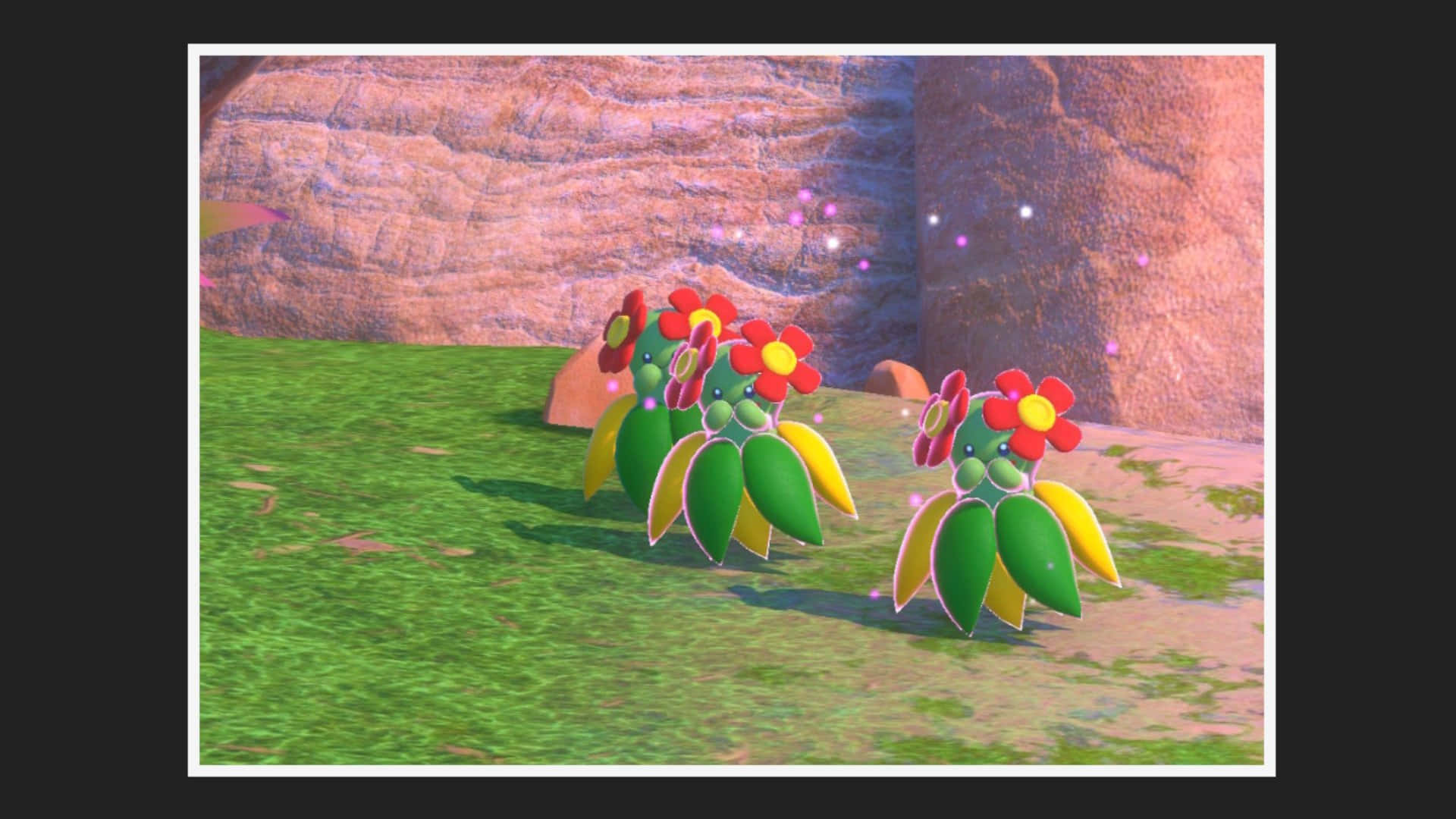 Brilliant Bellossom Anime Background