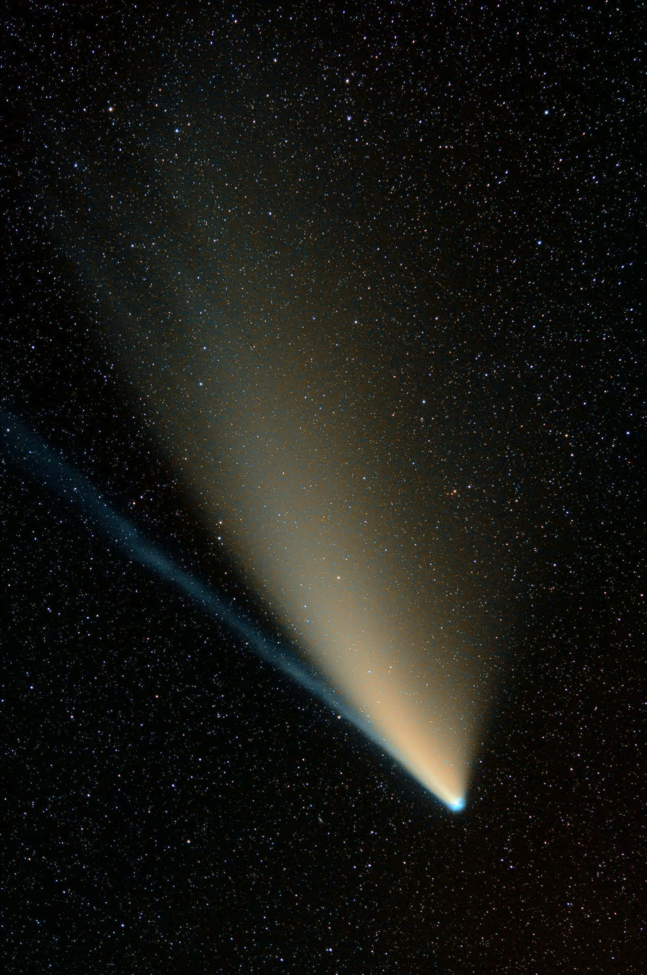 Brilliant Comet Shooting Across The Night Sky