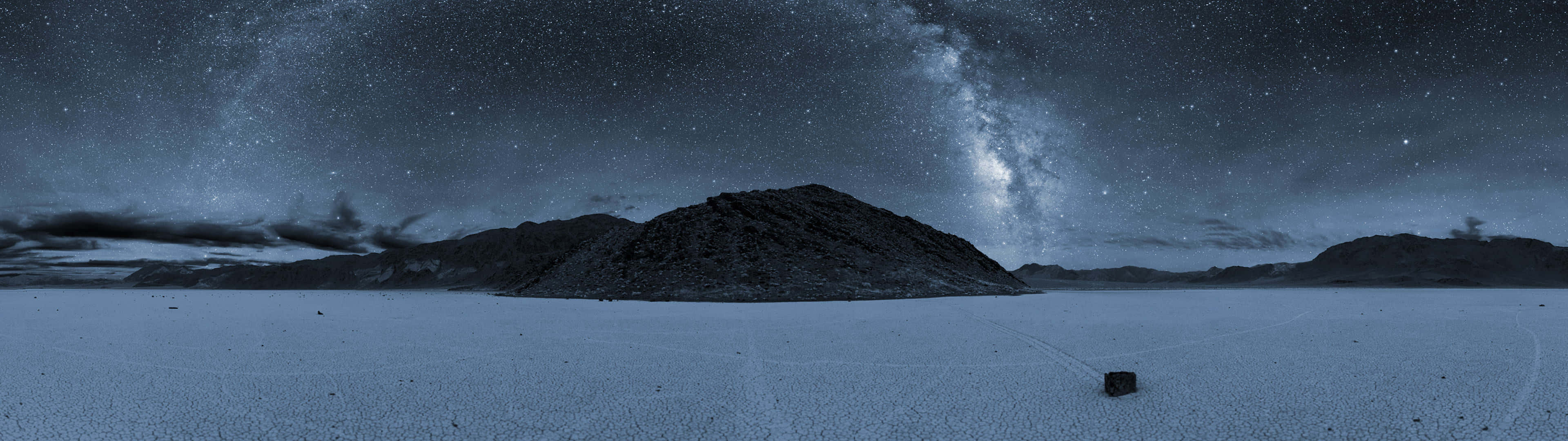 Brilliant Sunlit Tree Set Against A Deep Blue Sky Background
