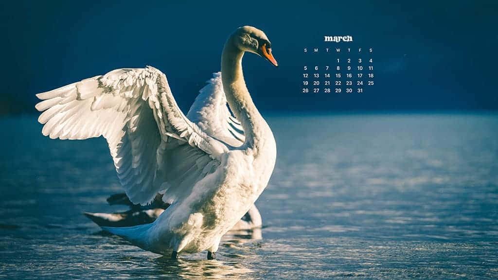 Bring A Bit Of Spring To Your Desktop This March Background