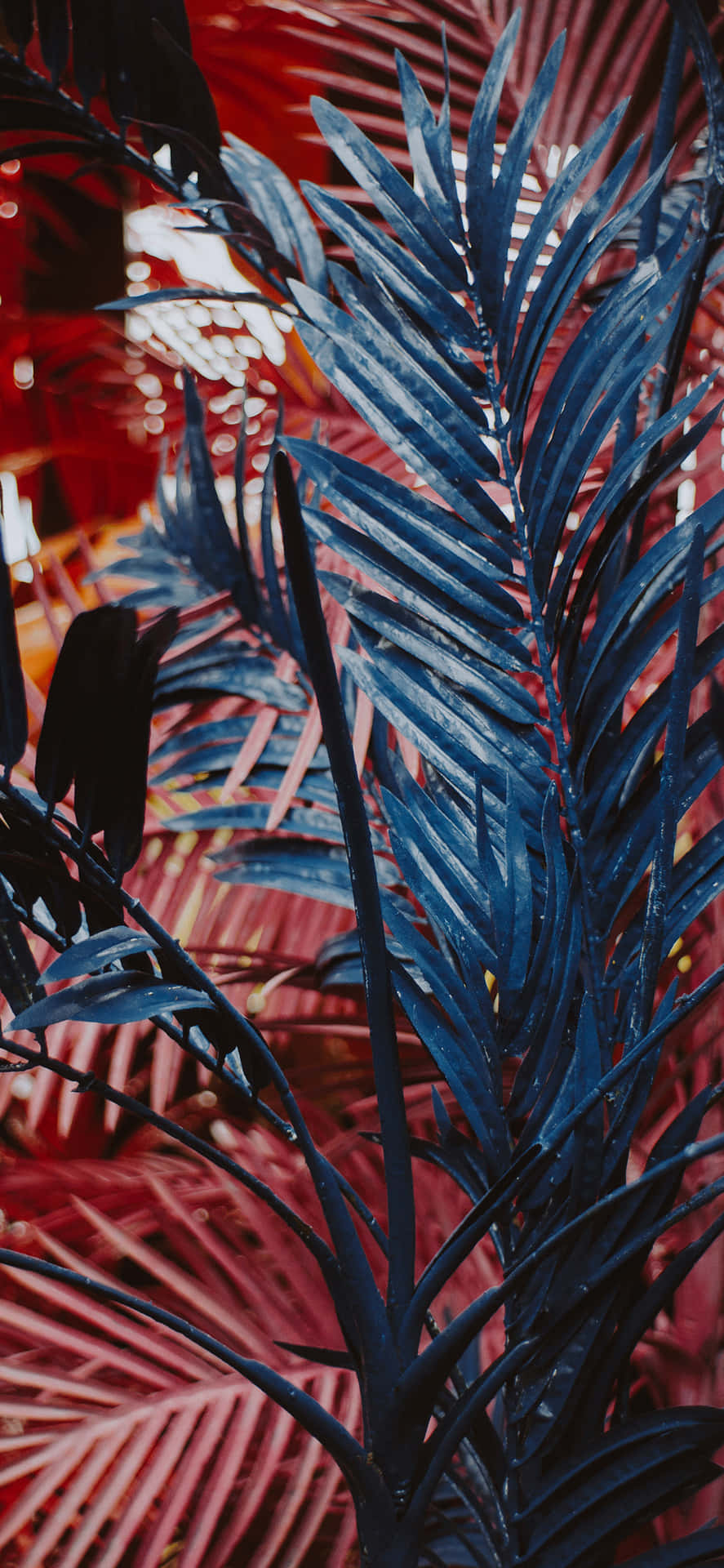 Bring A Plant's Natural Beauty To Your Smartphone Background