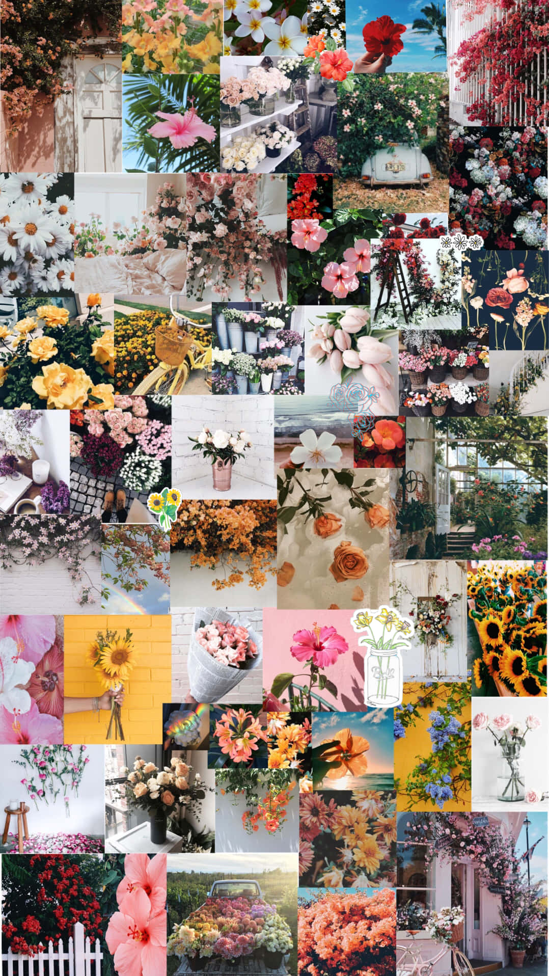 Bring Floral Charm And Character To Your Smartphone With A Vibrant, Floral Aesthetic Background