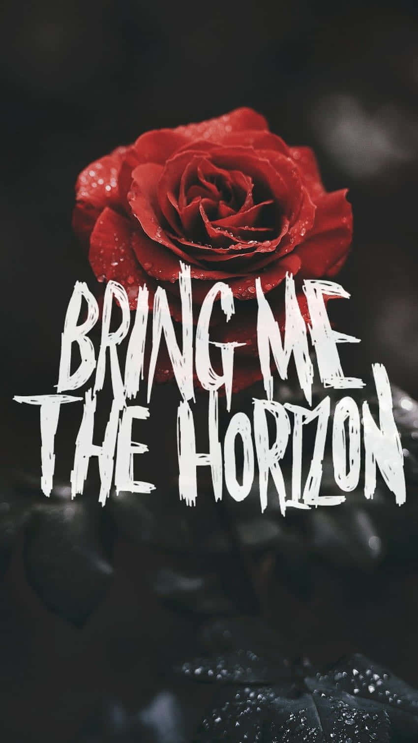 Bring Me The Horizon Rose Graphic Background
