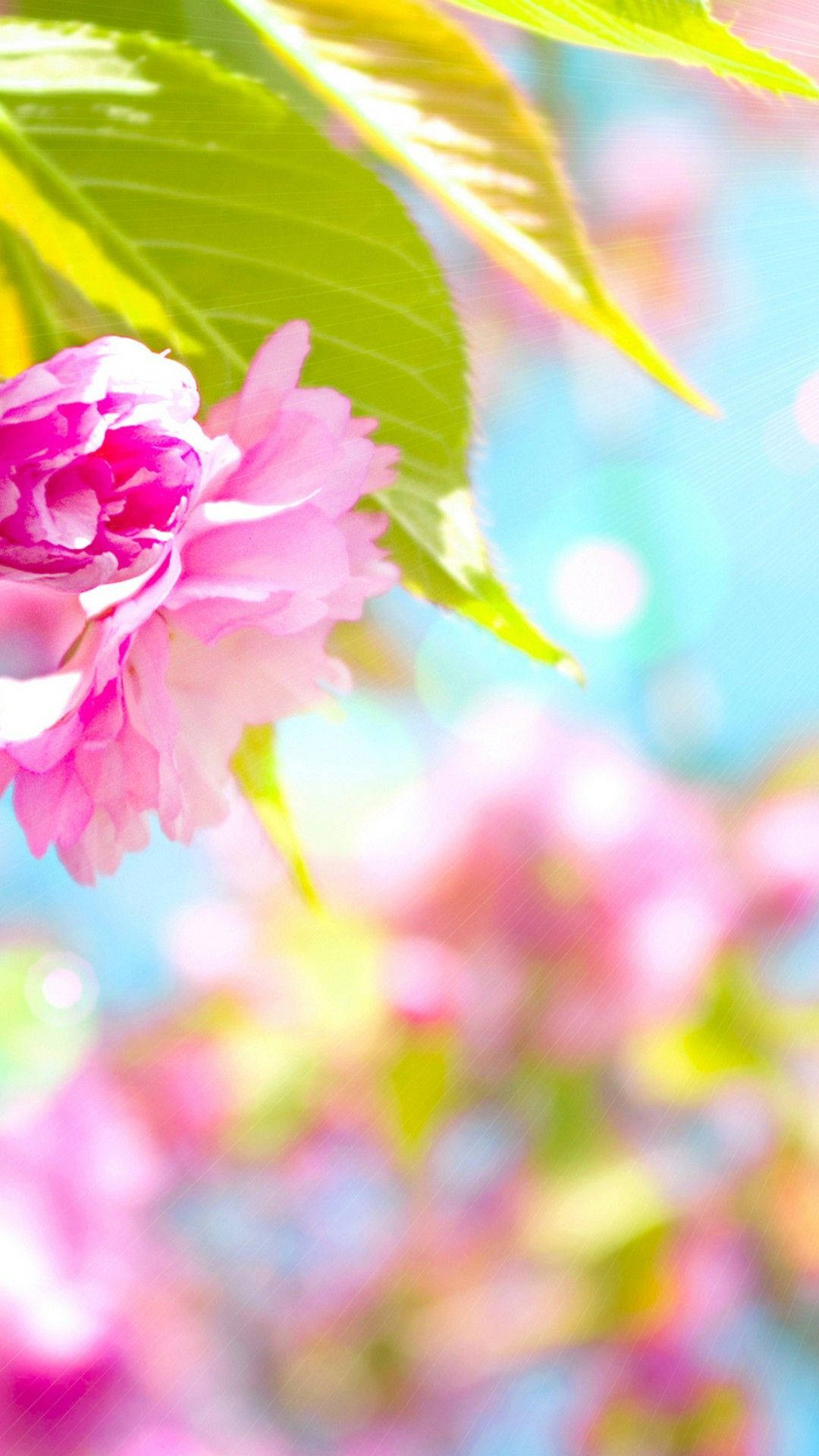 Bring On The Fun Of Spring With This Cute New Phone Background