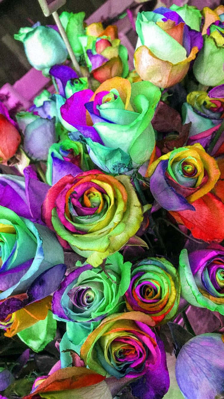 Bring On The Vibrancy With This Rainbow Flower Iphone Background