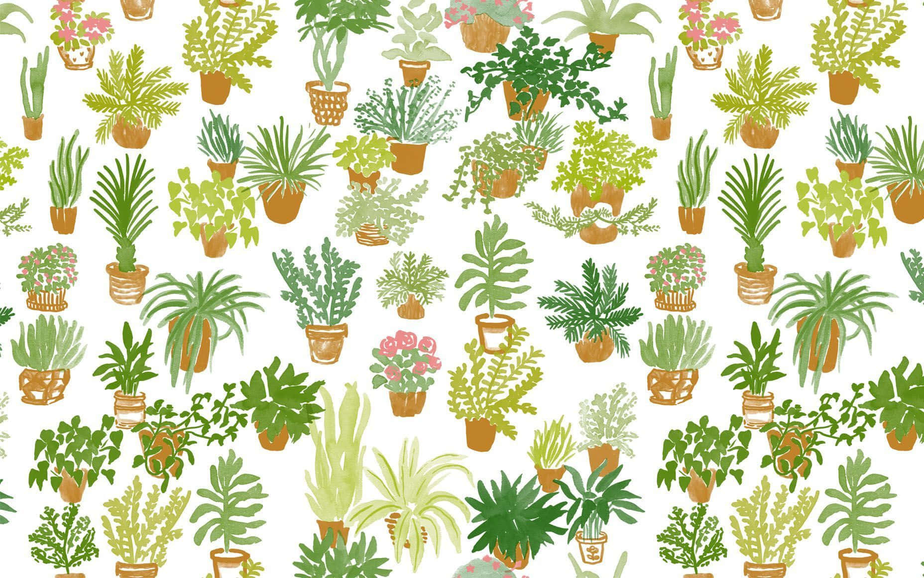 Bring Some Extra Color And Life To Your Home Decor With This Cute And Aesthetic Plant! Background