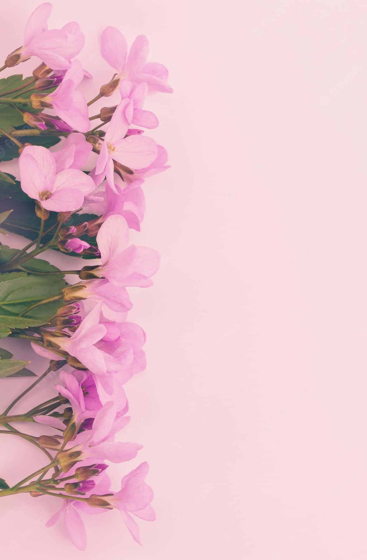 Bring The Beauty Of Nature And Technology Together