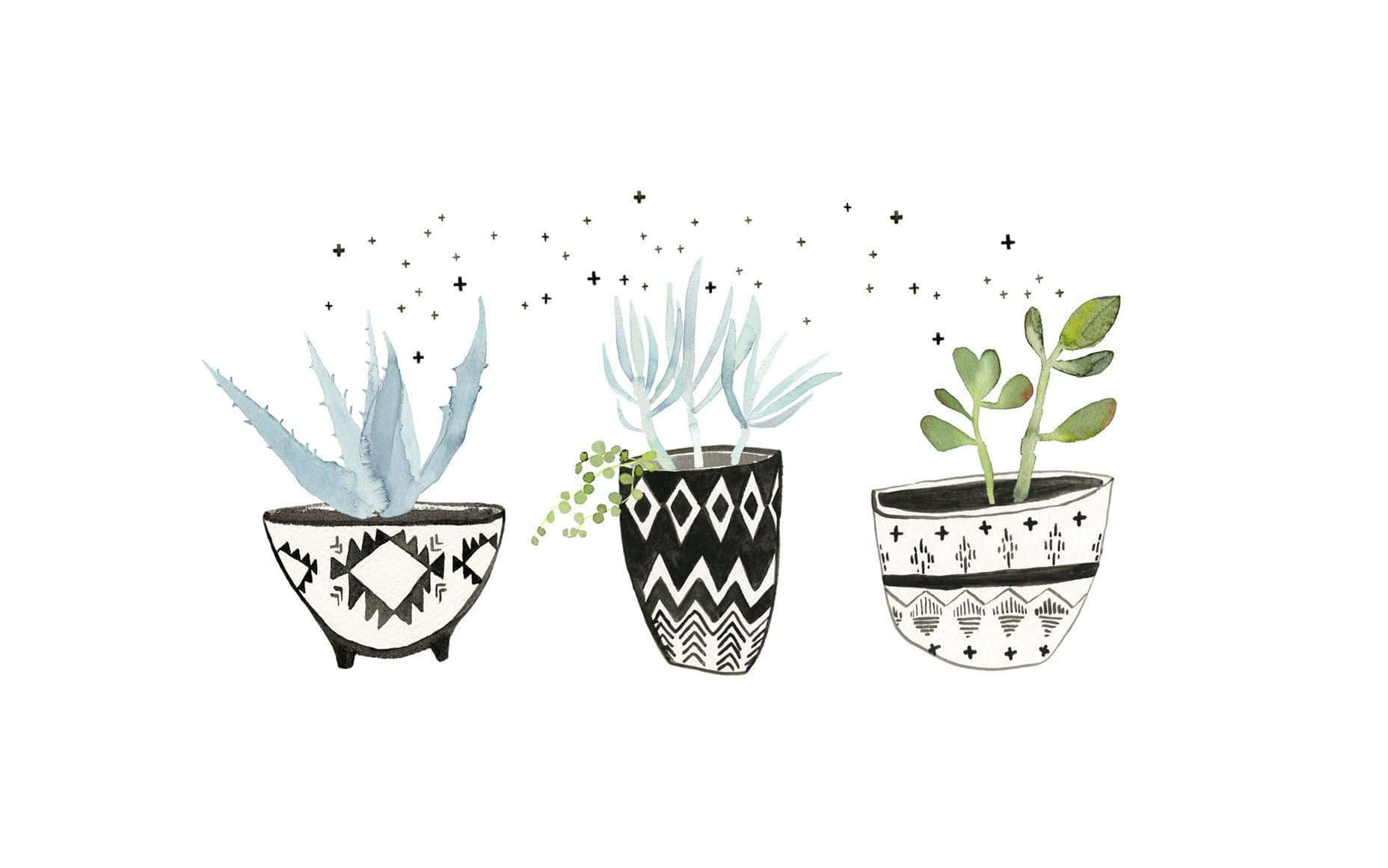 Bring The Beauty Of Nature To Your Workspace With A Plant Aesthetic Laptop. Background