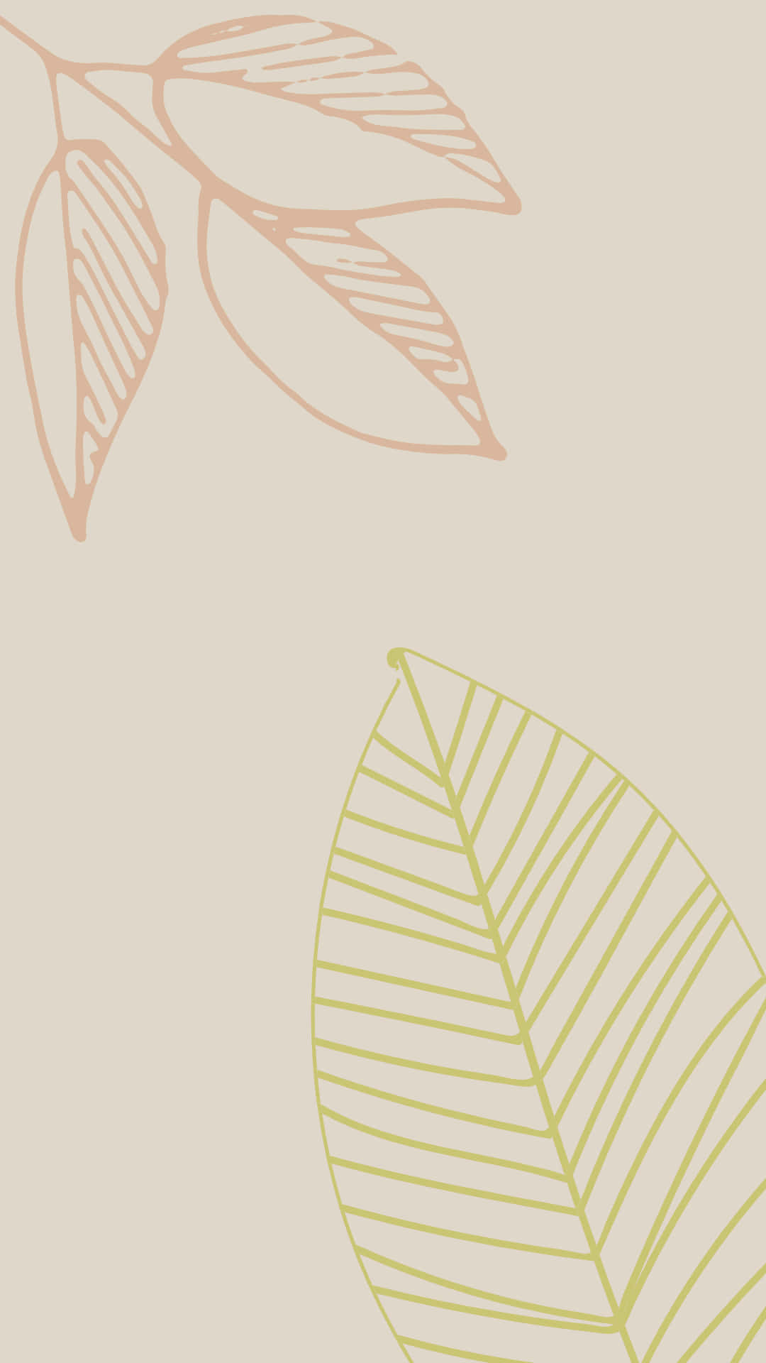 Bringing The Neutral Colors Of Nature Indoors Background