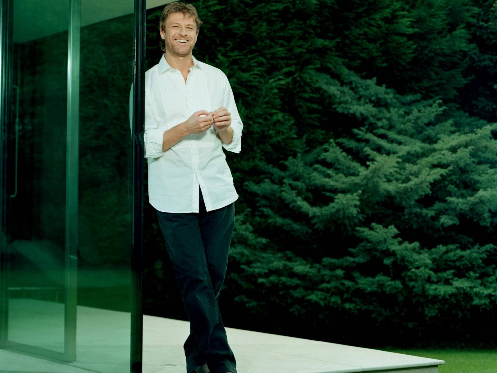 British Movie Star Sean Bean Background