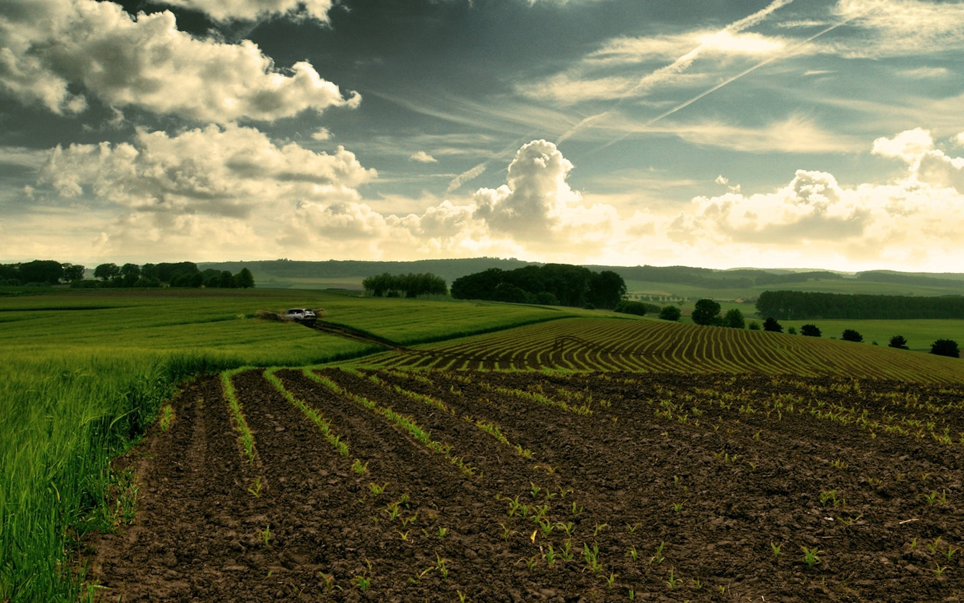 Broad Agriculture Farmland Background