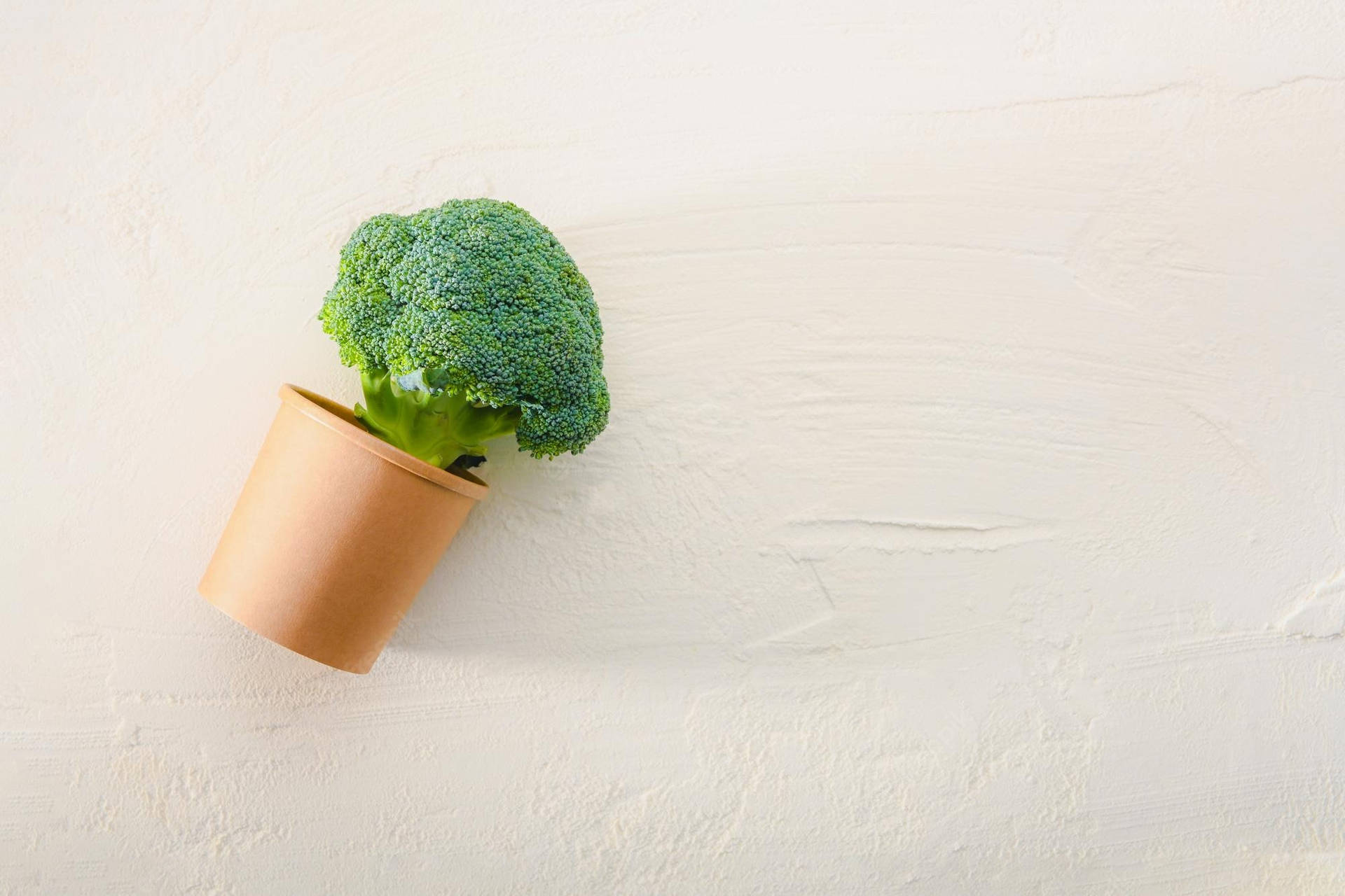 Broccoli Flower On Vase Background