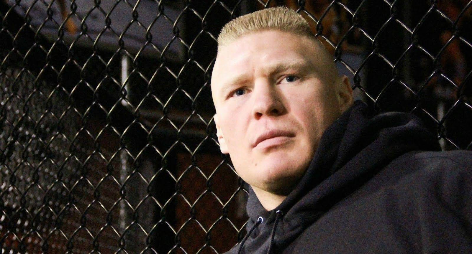 Brock Lesnar Calm Photo Background